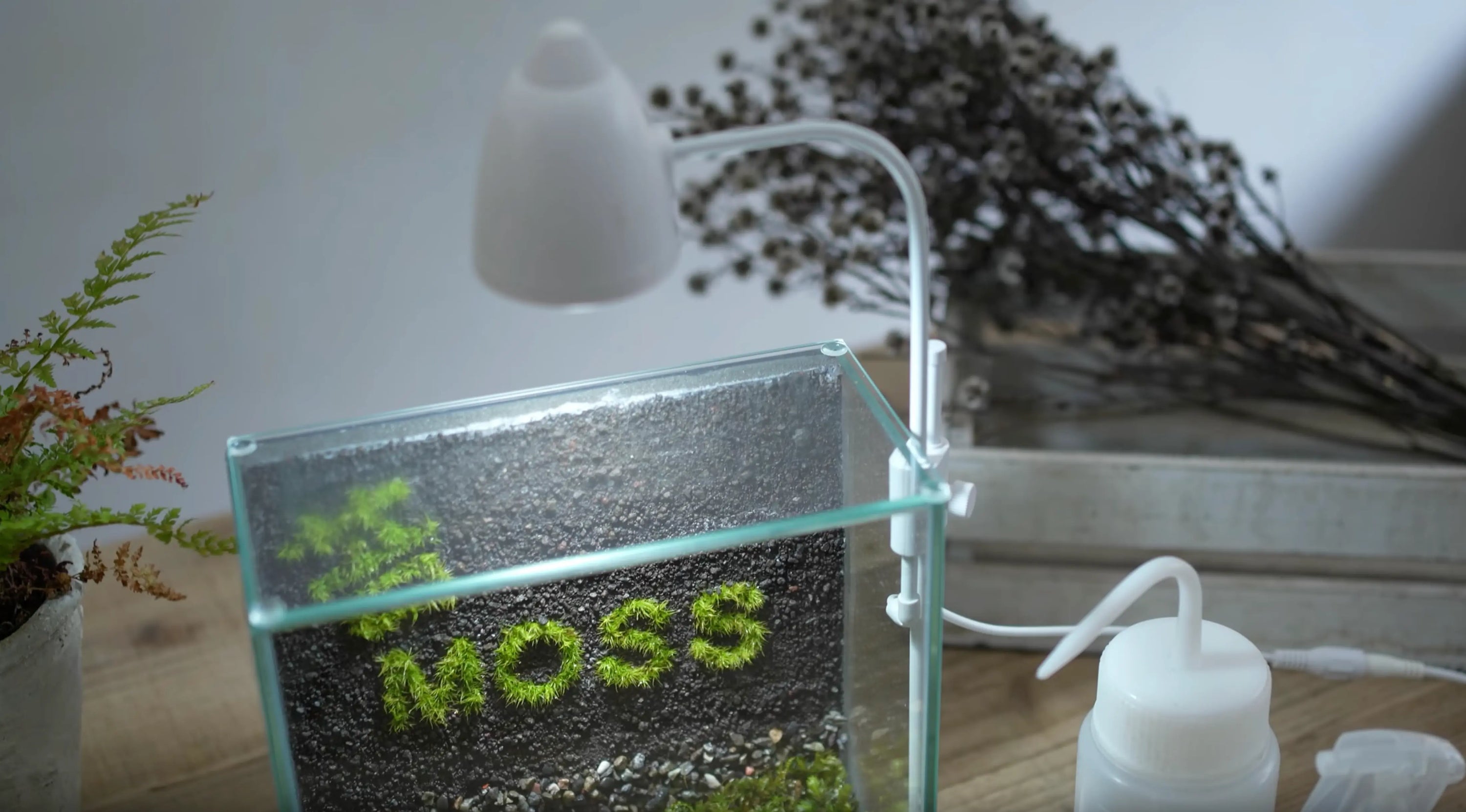 Graffiti-in-a-terrarium Aqua Essentials