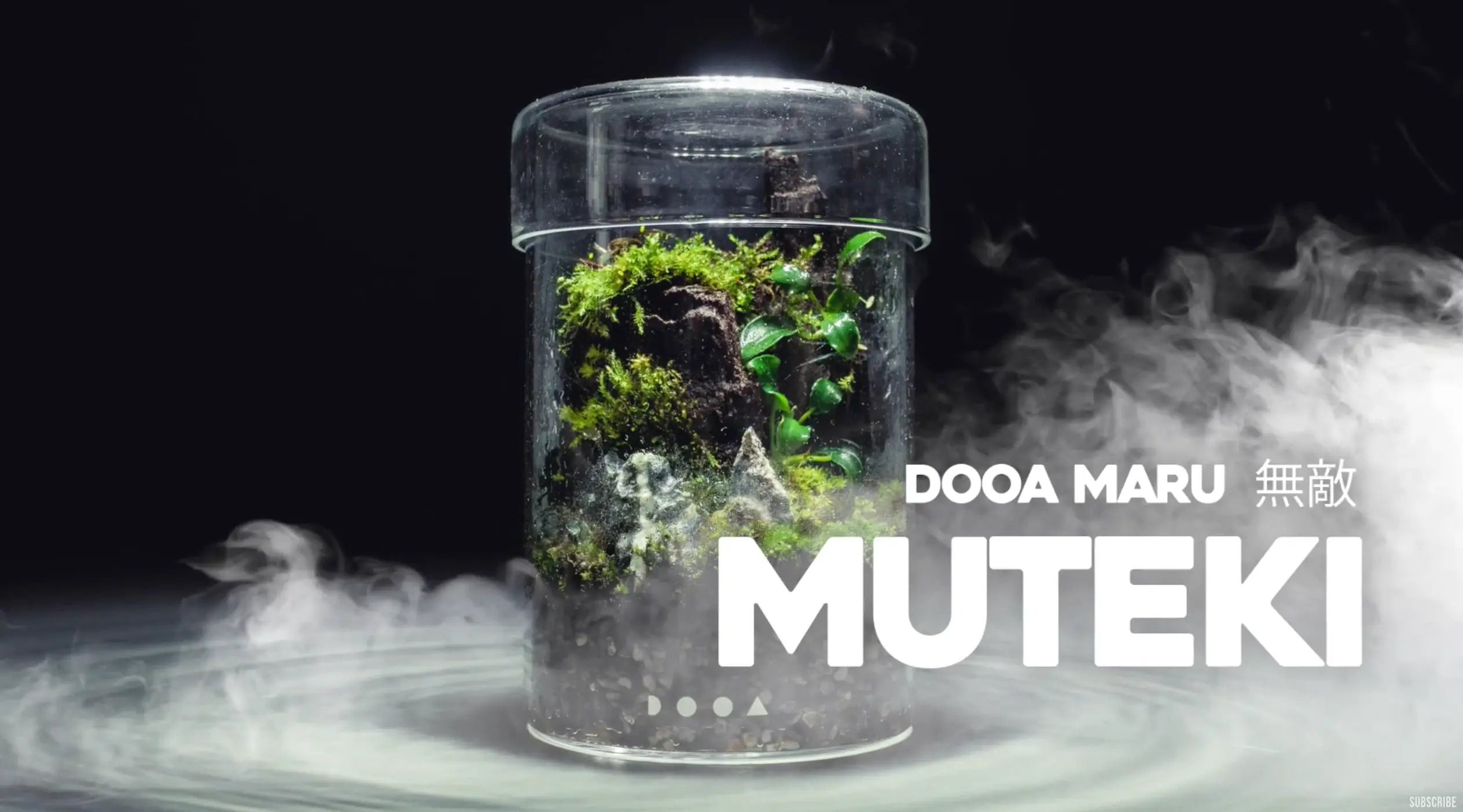 DOOA-Glass-Pot-Maru-Terrarium-inc.-video Aqua Essentials