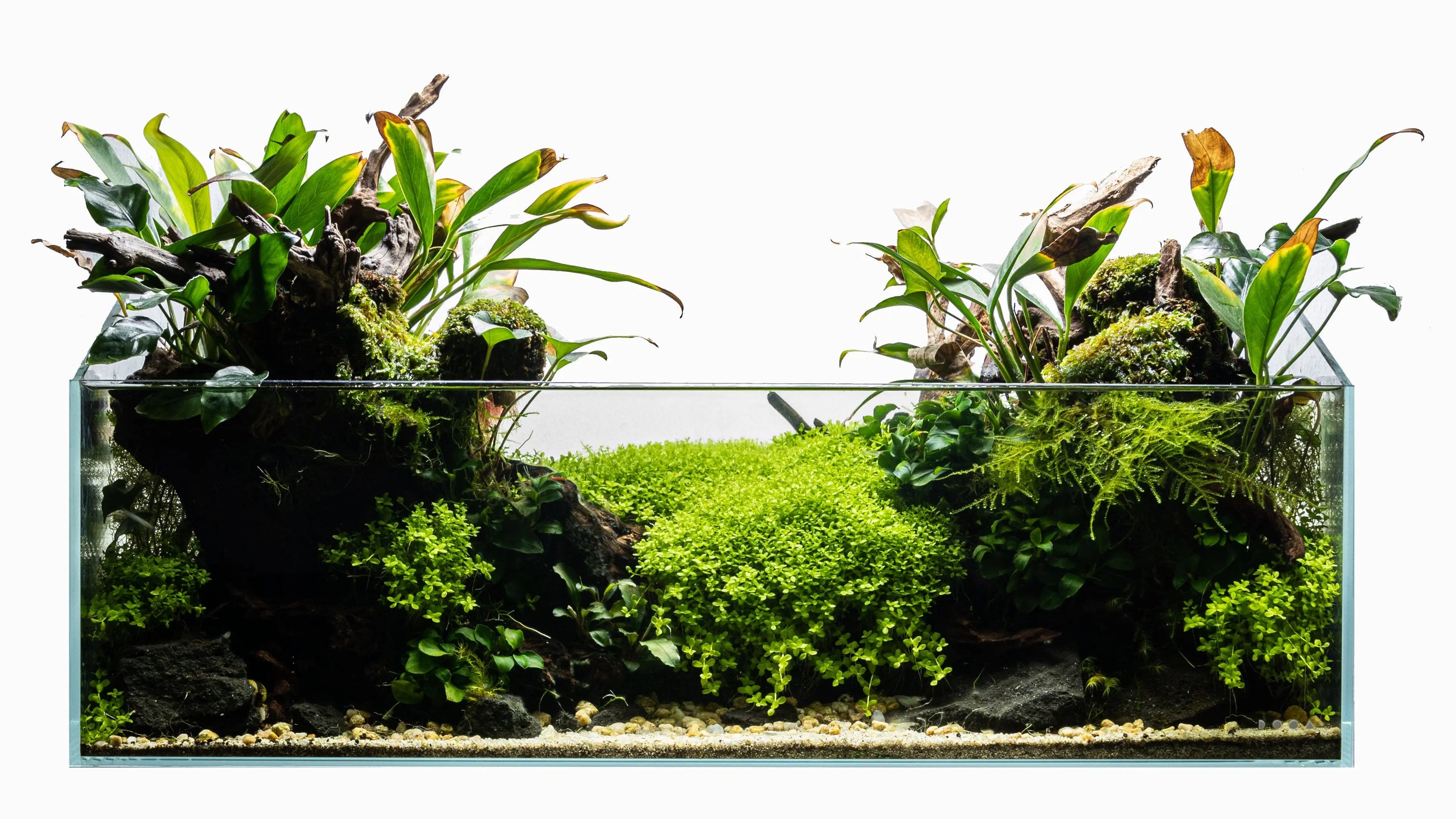 Scaped-For-You-Collections Aqua Essentials