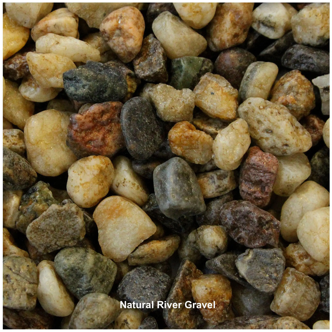 Betta Choice Aquarium Gravels 5kg Aqua Essentials