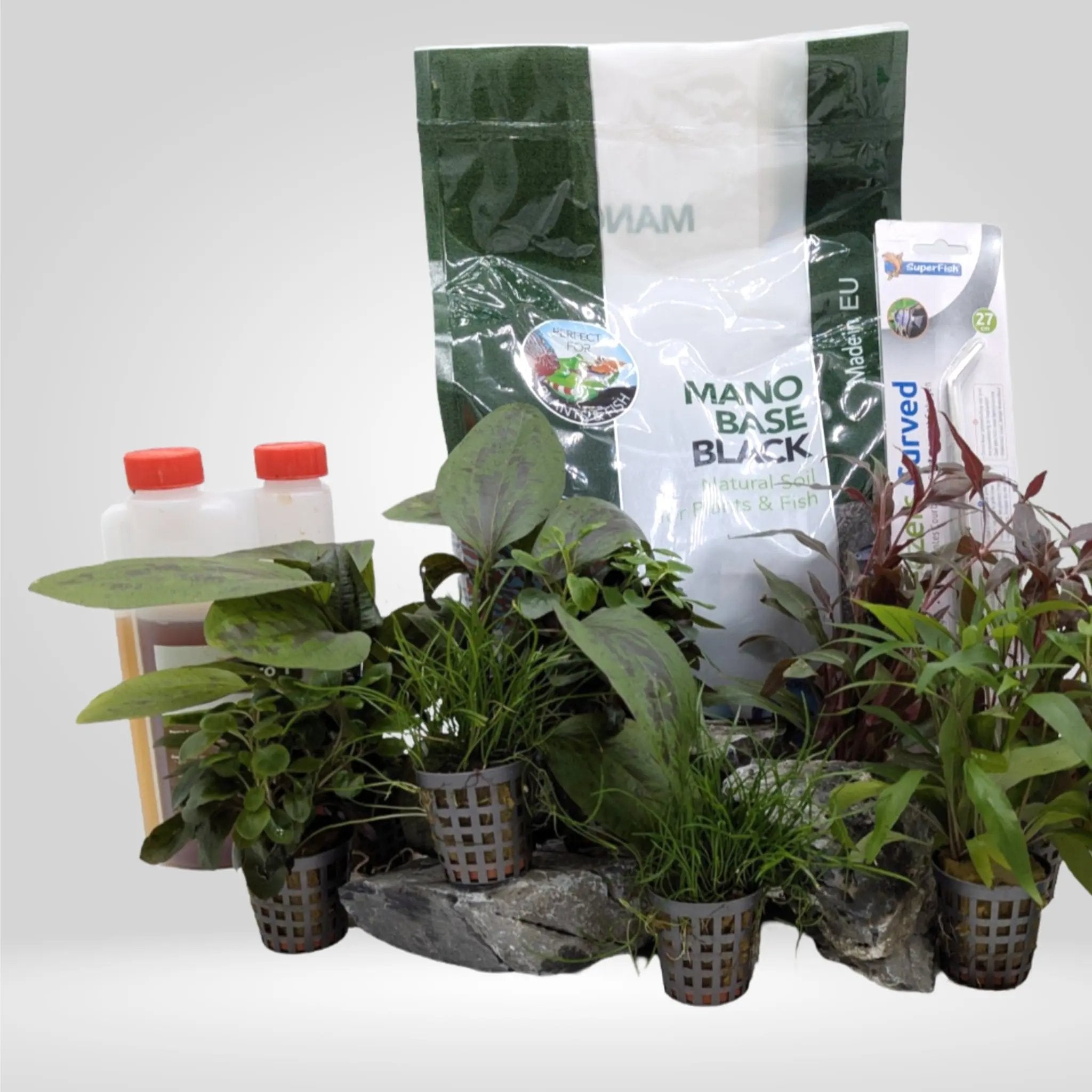 Complete Planted Aquarium Tank Bundle - 60L Aqua Essentials