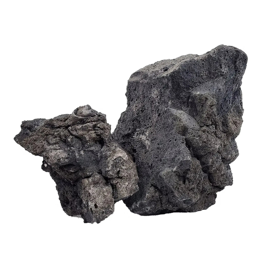 Darwin Black Lava Stone Box Wio