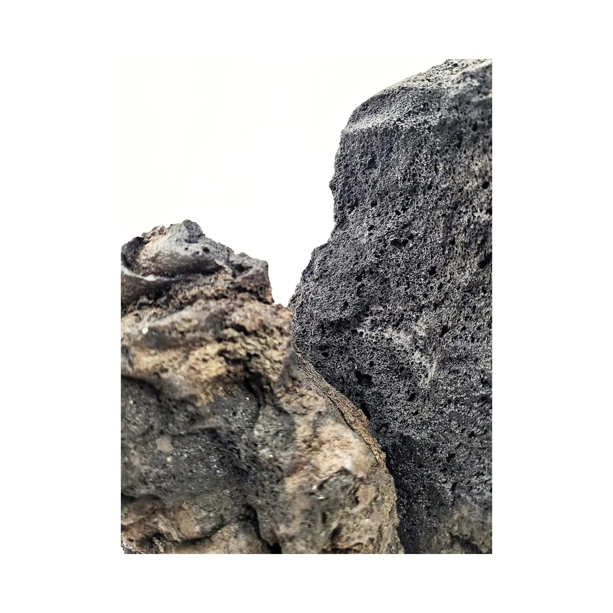 Darwin Black Lava Stone Box Wio