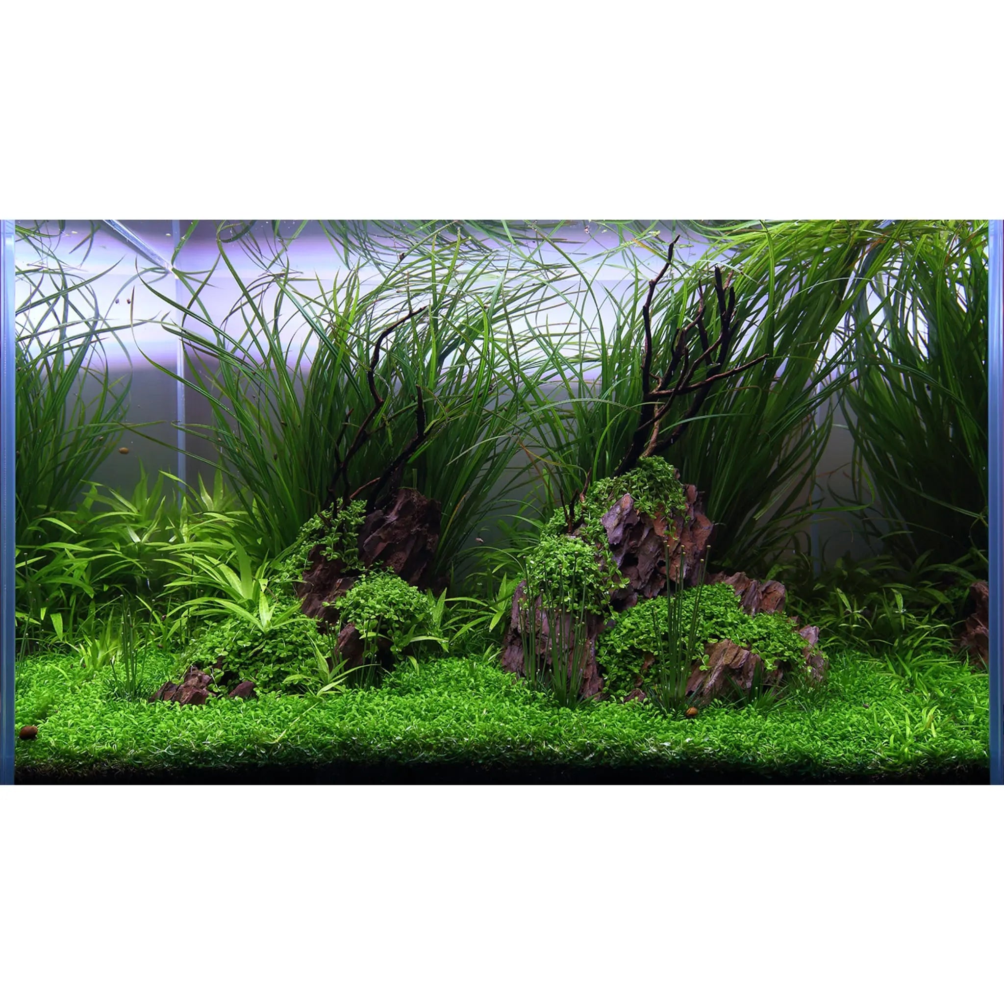 Dragon Stone Rock - 3kg Aqua Essentials