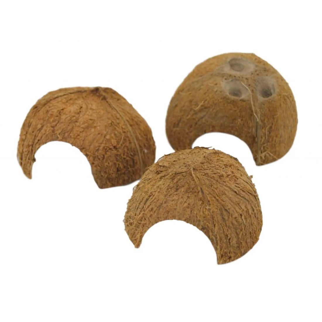 Half Coconut Shelter Aqua Essentials