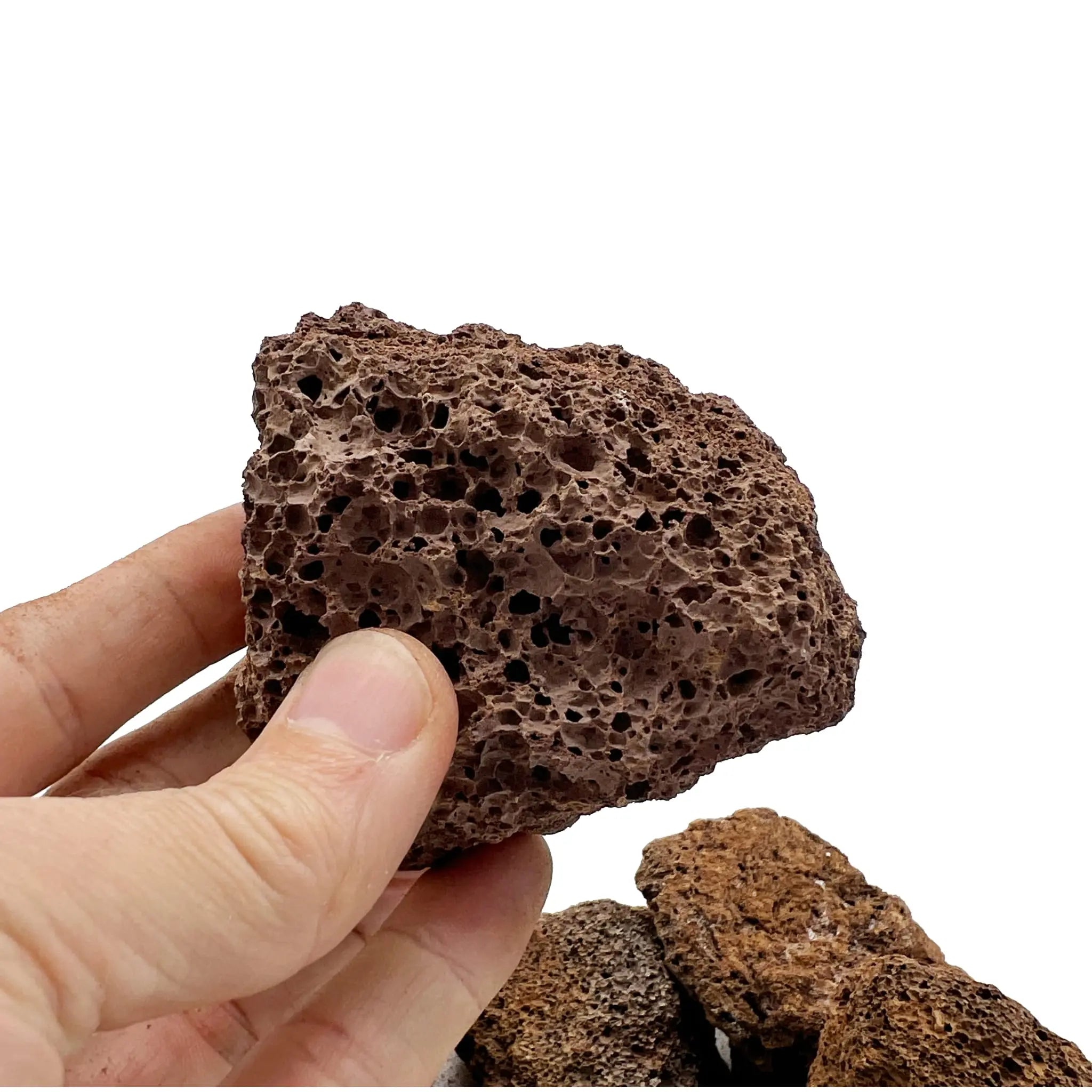 Aquarium Lava Rocks (4-8cm) - 5kg - Aqua Essentials