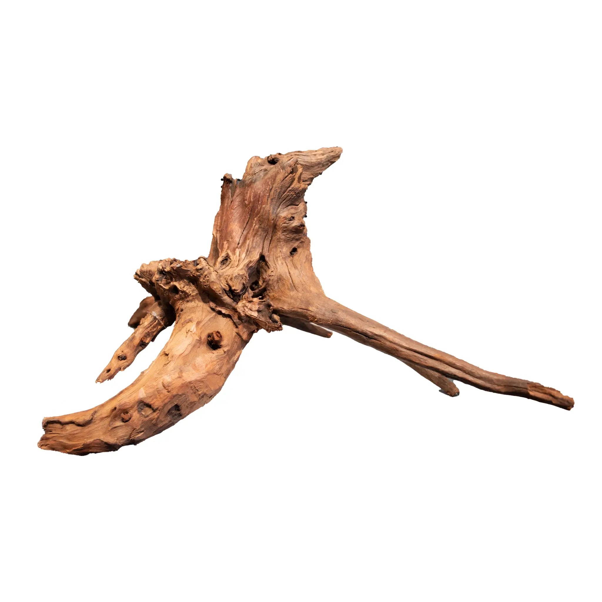 Mangrove Aged Wood - Aqua Essentials