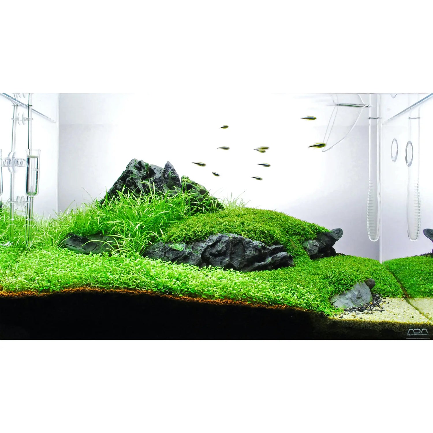 Mini Landscape Rock (Seiryu Stone) 3kgs Aqua Essentials
