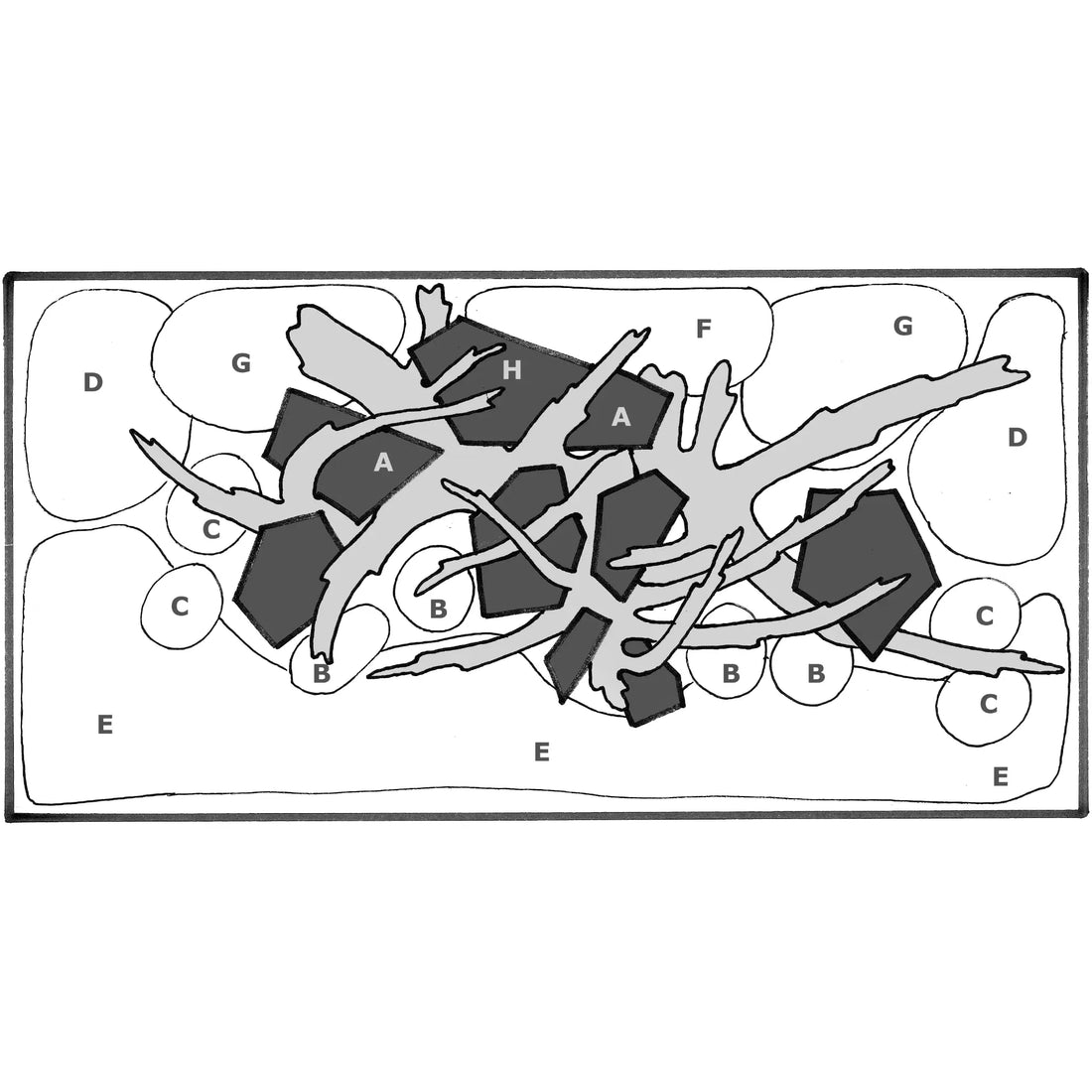 Scaped For You Collection - Layout 19 (140L) Easy Tropica