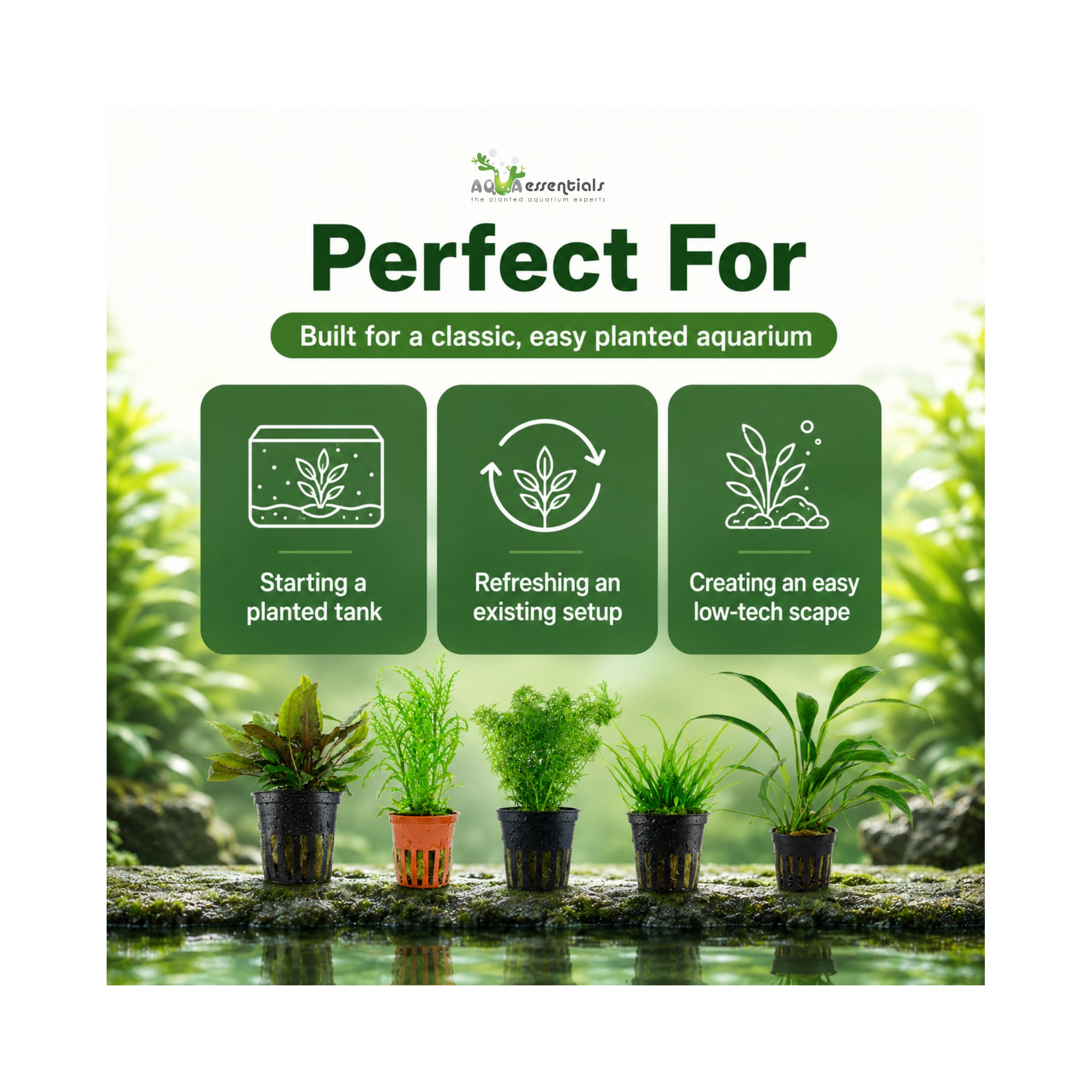 The Tropica Classic Collection