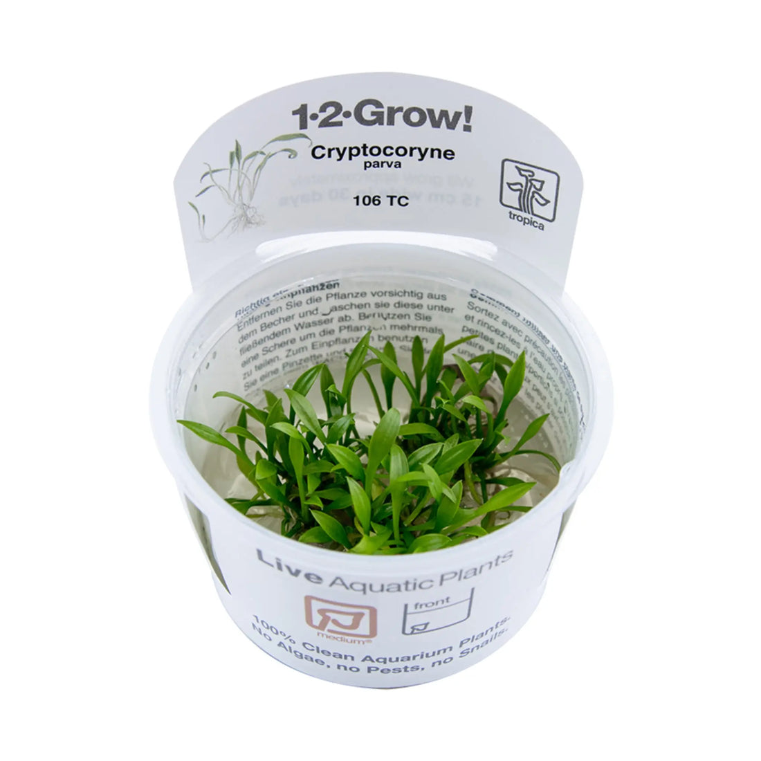Tropica Cryptocoryne parva 1-2-GROW! - Aqua Essentials