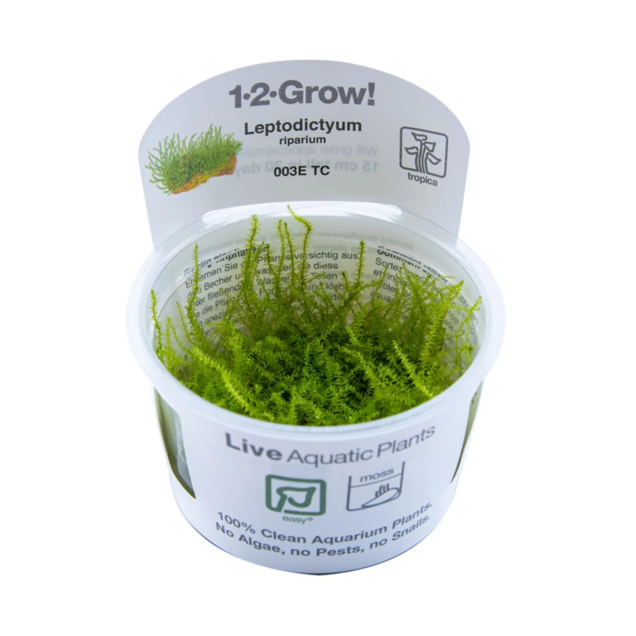 Tropica Leptodictyum riparium 1-2-GROW! - Aqua Essentials