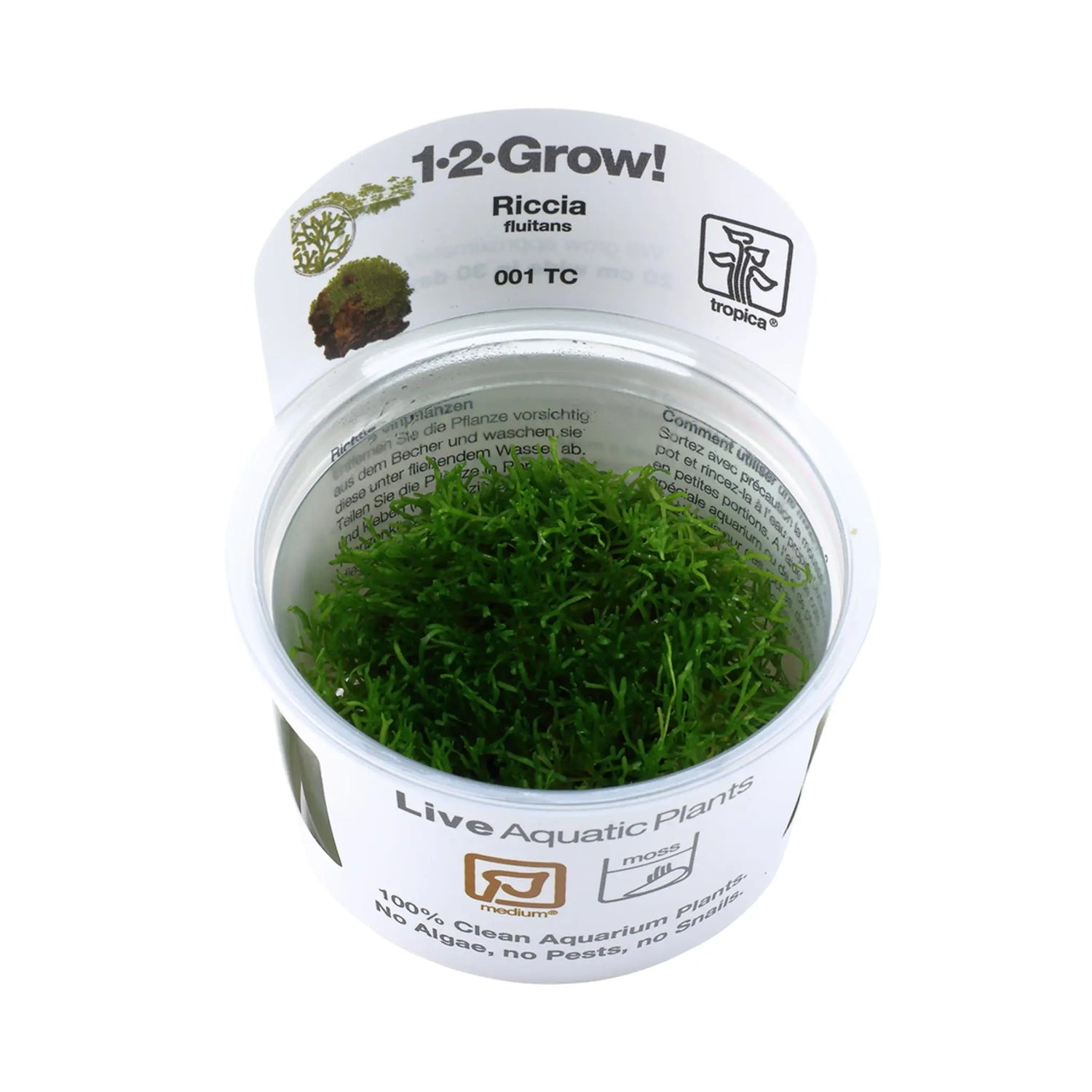 Tropica Riccia fluitans 1-2-GROW! - Aqua Essentials