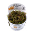 Tropica Rotala rotundifolia H&