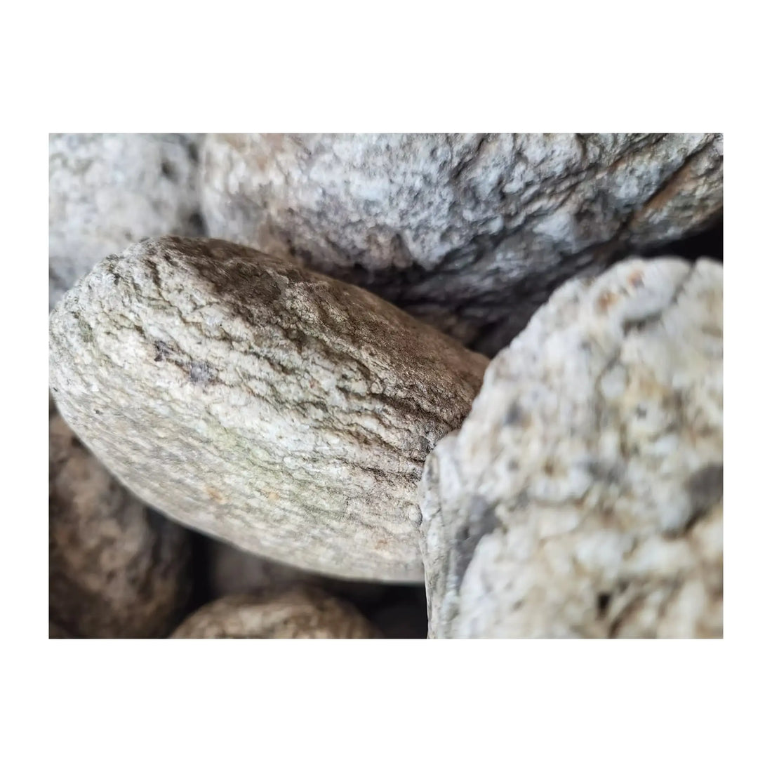 WIO Elderly Boulder Set Box Wio