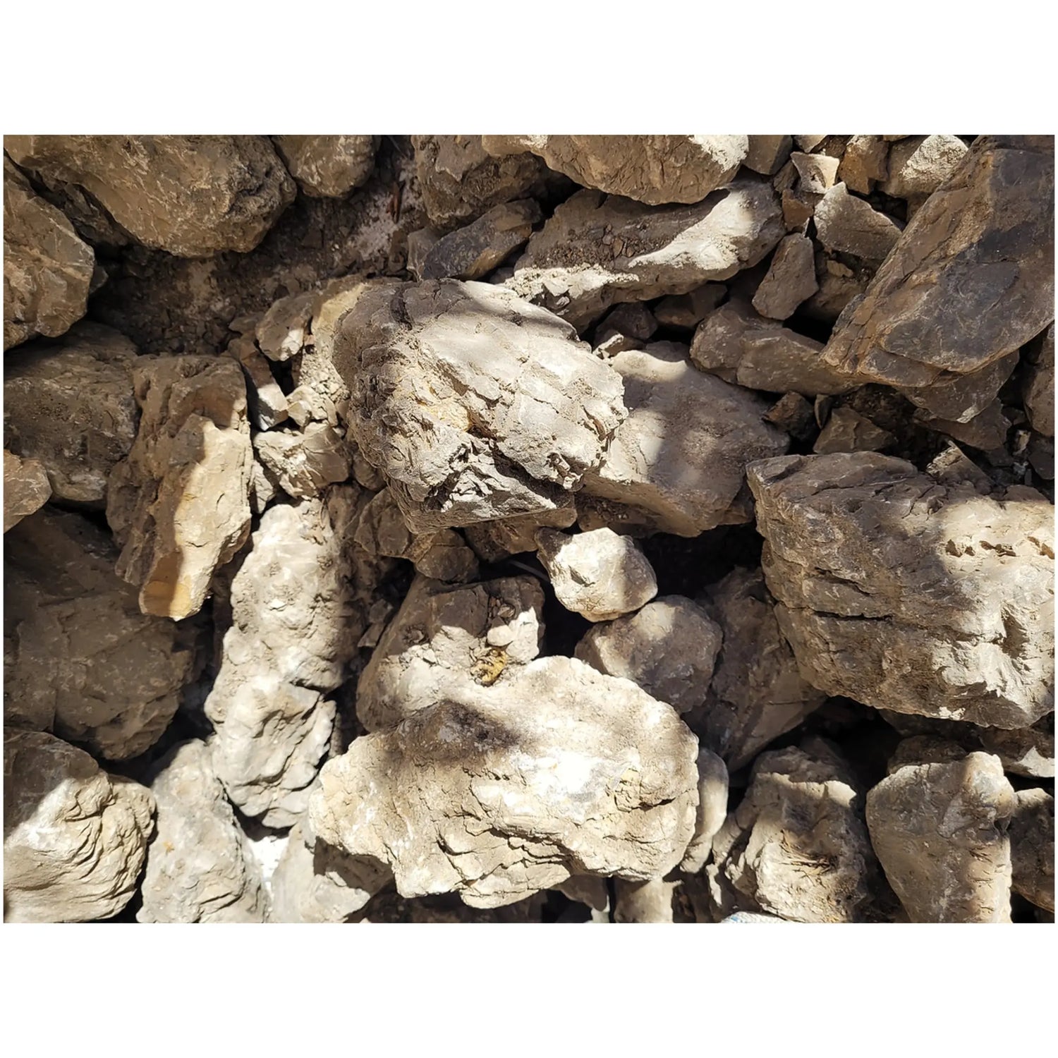 WIO Elderly Stone Set Box Wio