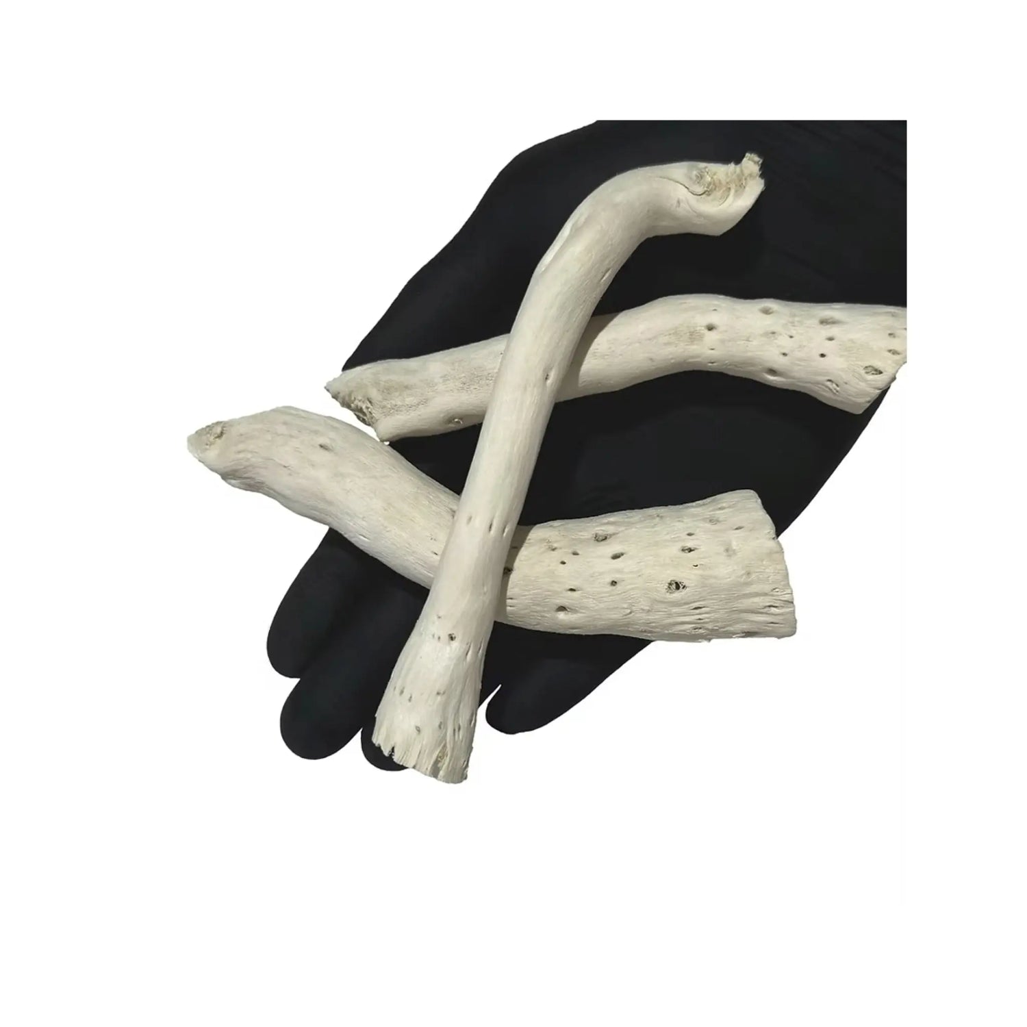 Wio Driftcactus Cholla Wood Bit (5pcs) Wio