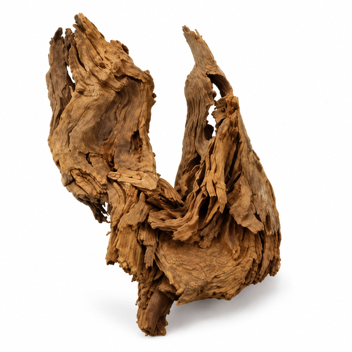 One piece of aquarium driftwood, medium-20-30cm