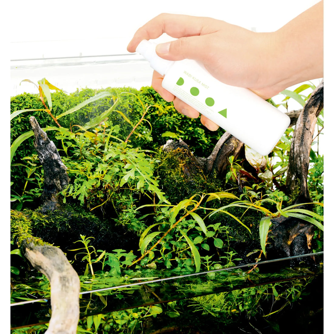 DOOA Wabi Kusa Mist - 200ml - Aqua Essentials