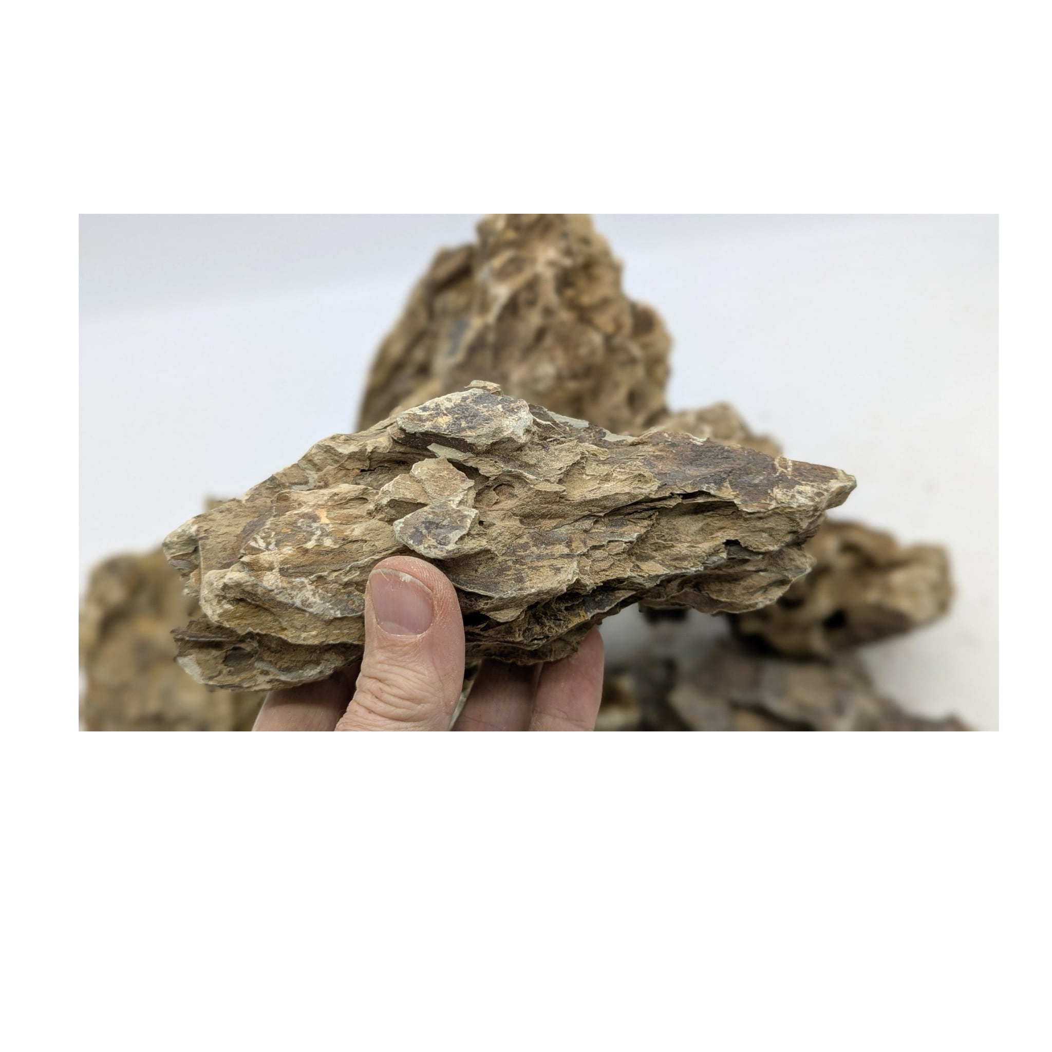 Dragon Stone Rock - 3kg