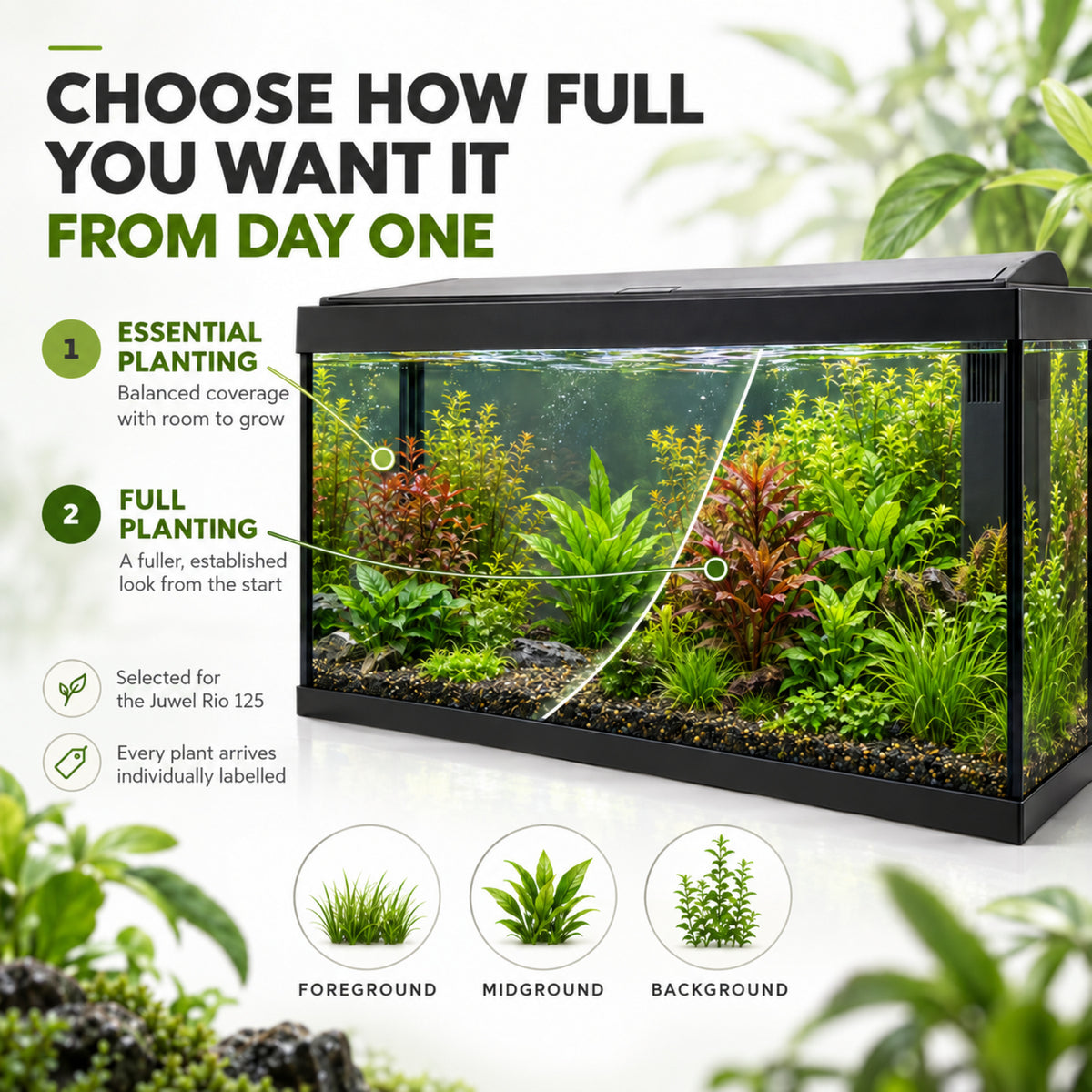 Juwel Rio 125 Aquarium Plant Collection – 20 or 30 Plants