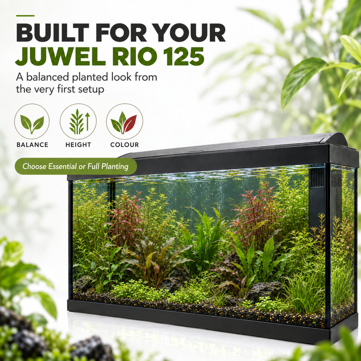 Juwel Rio 125 Aquarium Plant Collection – 20 or 30 Plants