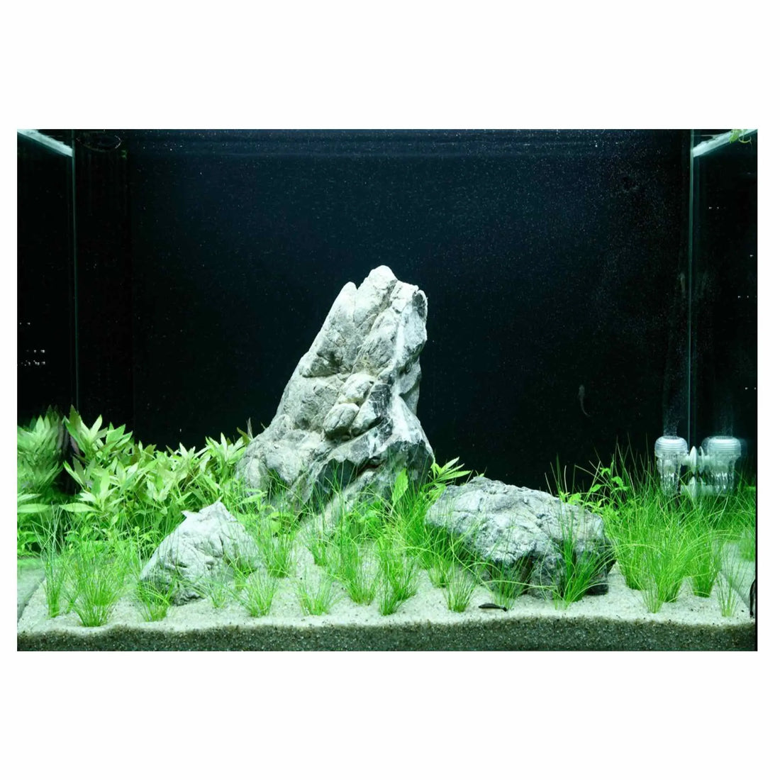 Scaped For You Collection - Layout 100 (100L) Medium - Aqua Essentials