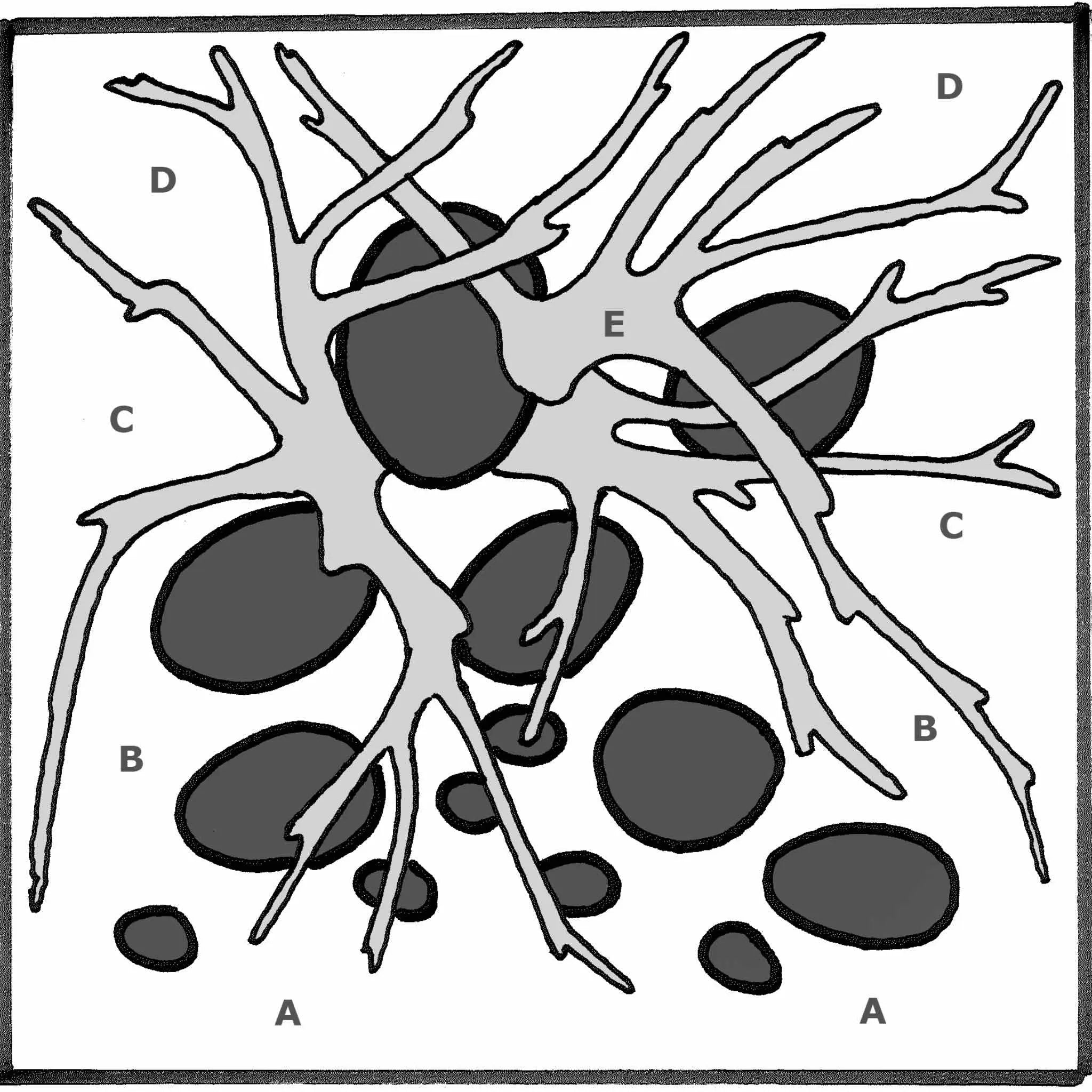 Scaped For You Collection - Layout 58 (46L) Easy - Aqua Essentials