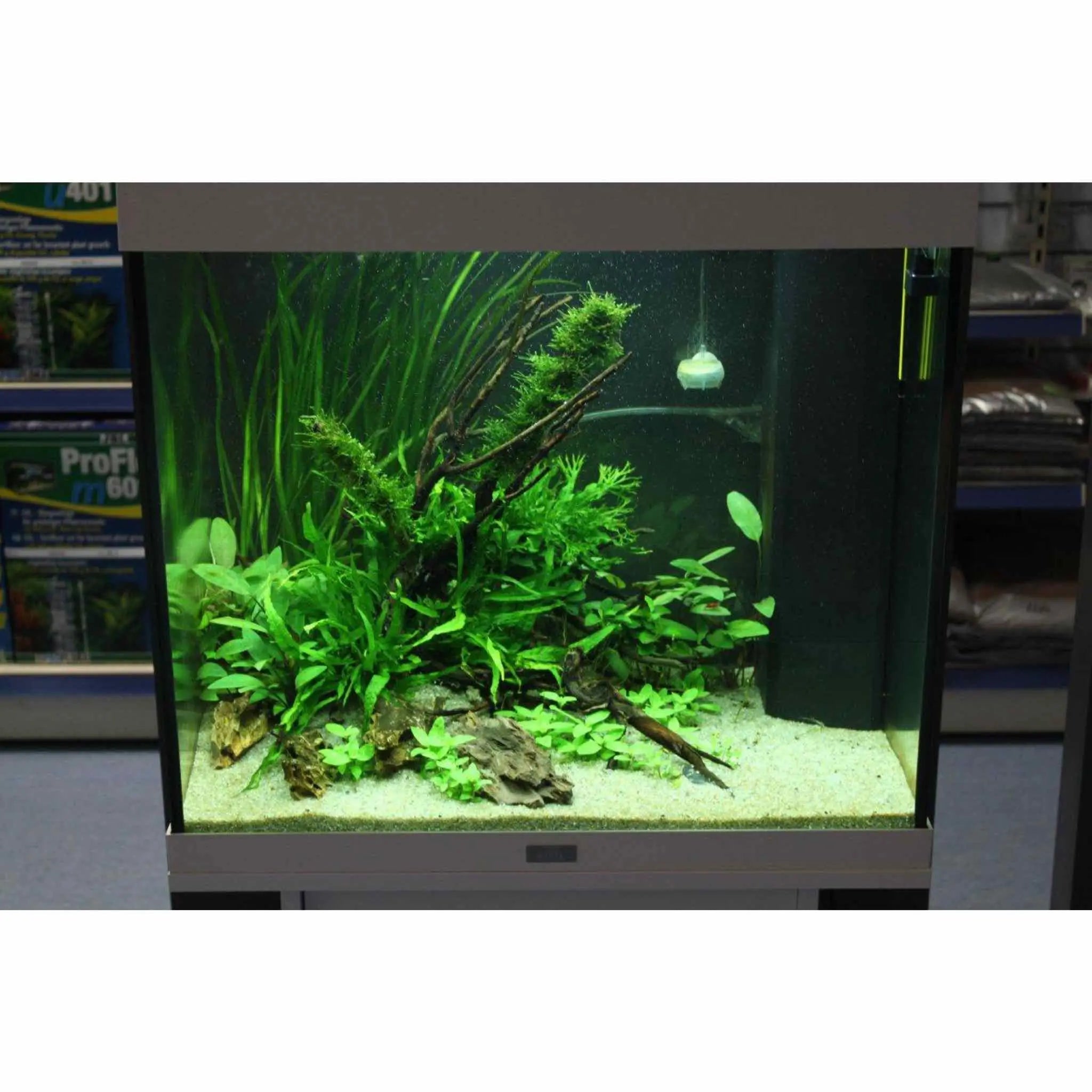 Scaped For You Collection - Layout 68 (120L) Easy - Aqua Essentials