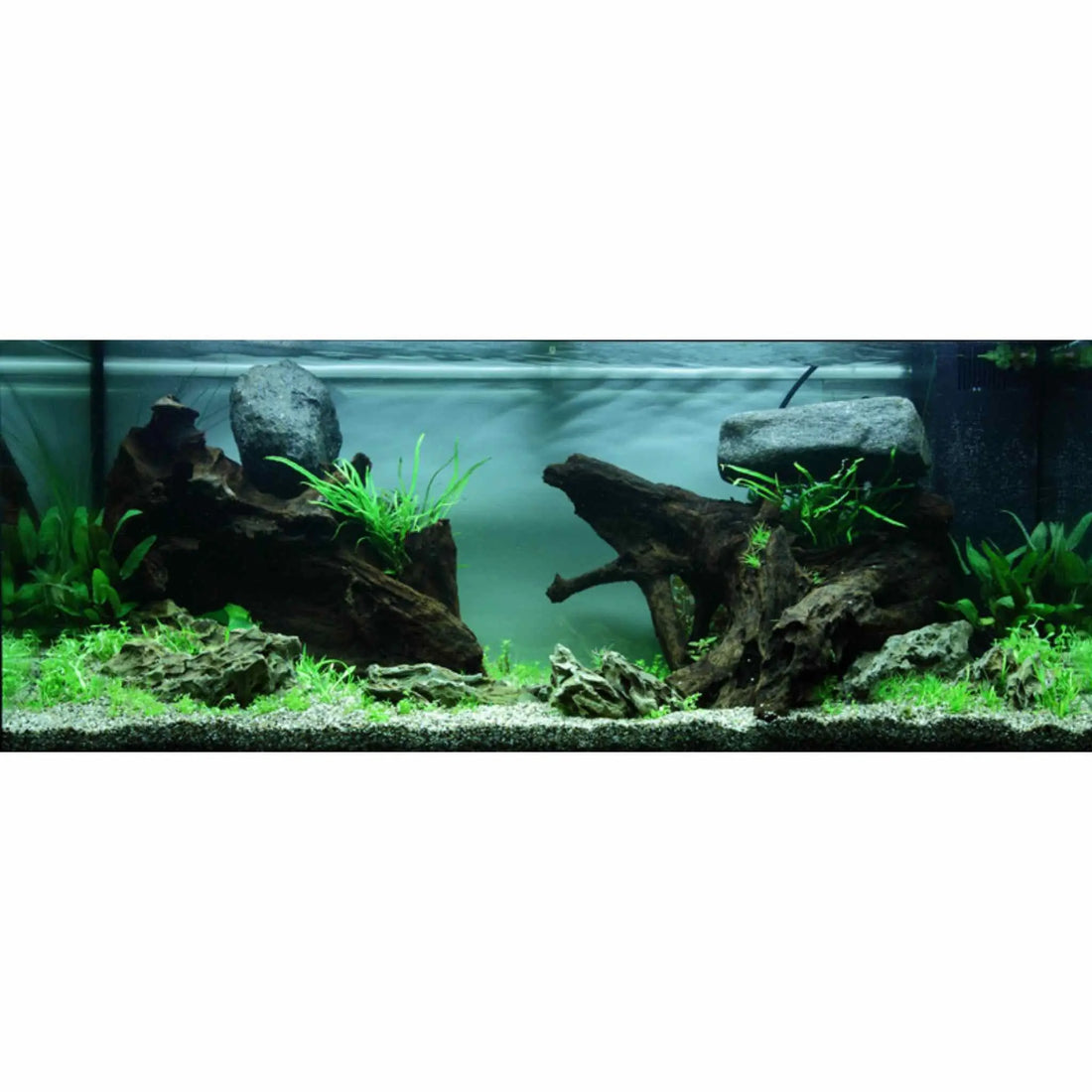 Scaped For You Collection - Layout 80 (180L) Medium - Aqua Essentials