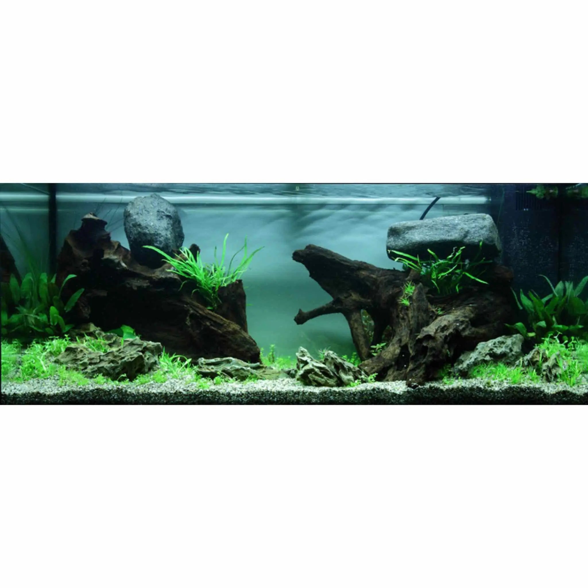 Scaped For You Collection - Layout 80 (180L) Medium - Aqua Essentials