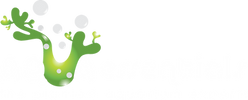 Aqua Essentials