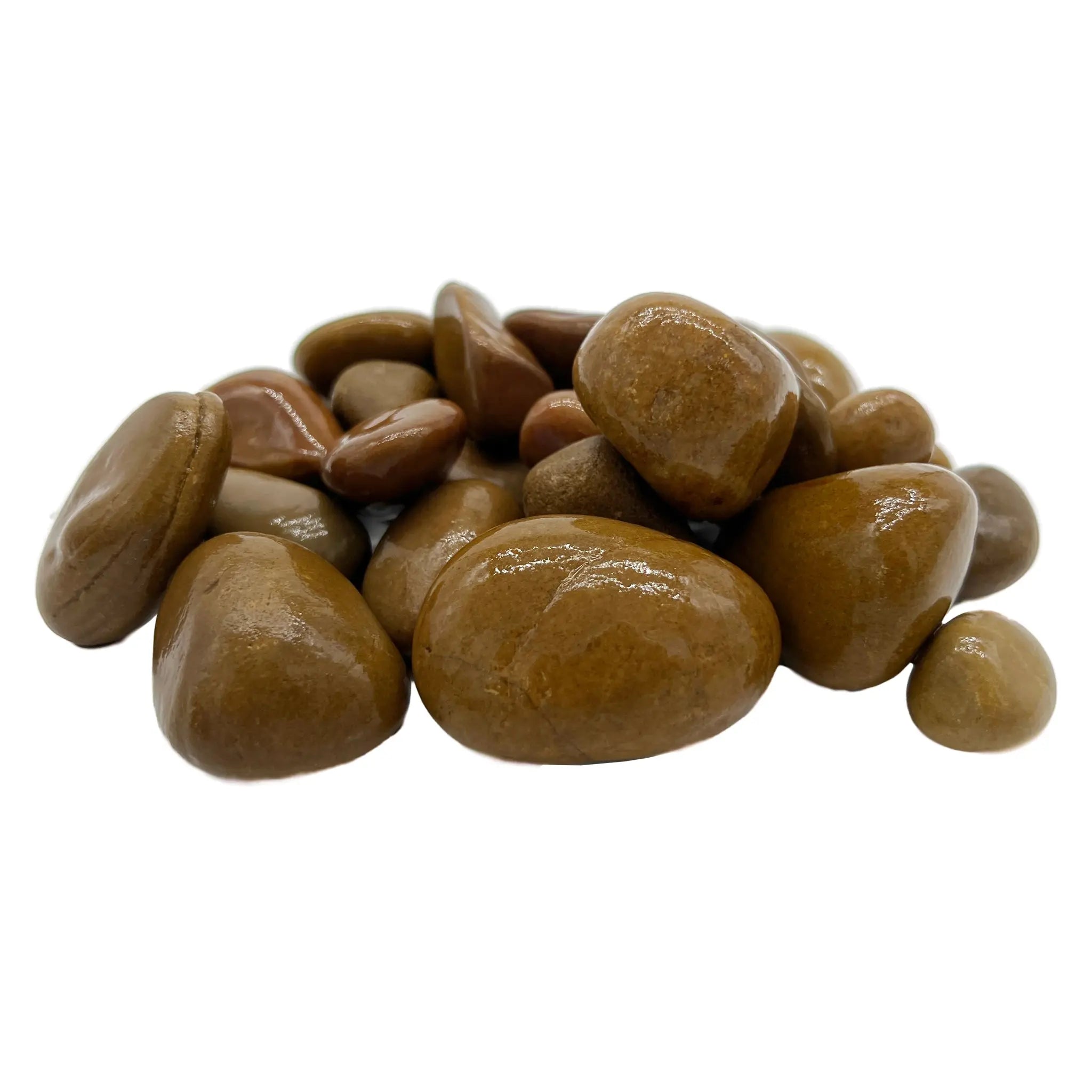 Aquascaping Pebbles - Medium - Aqua Essentials