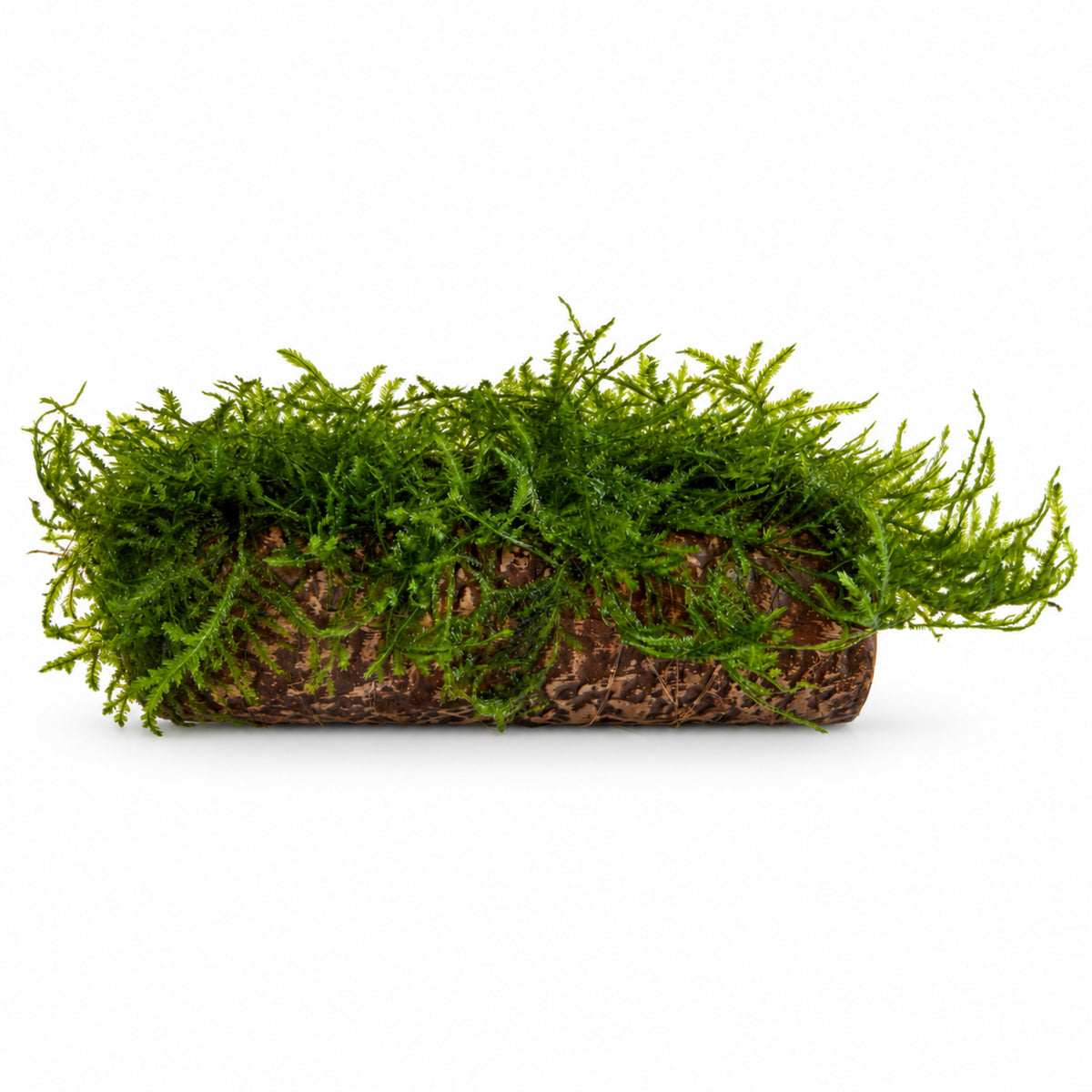 Java Moss Fish House