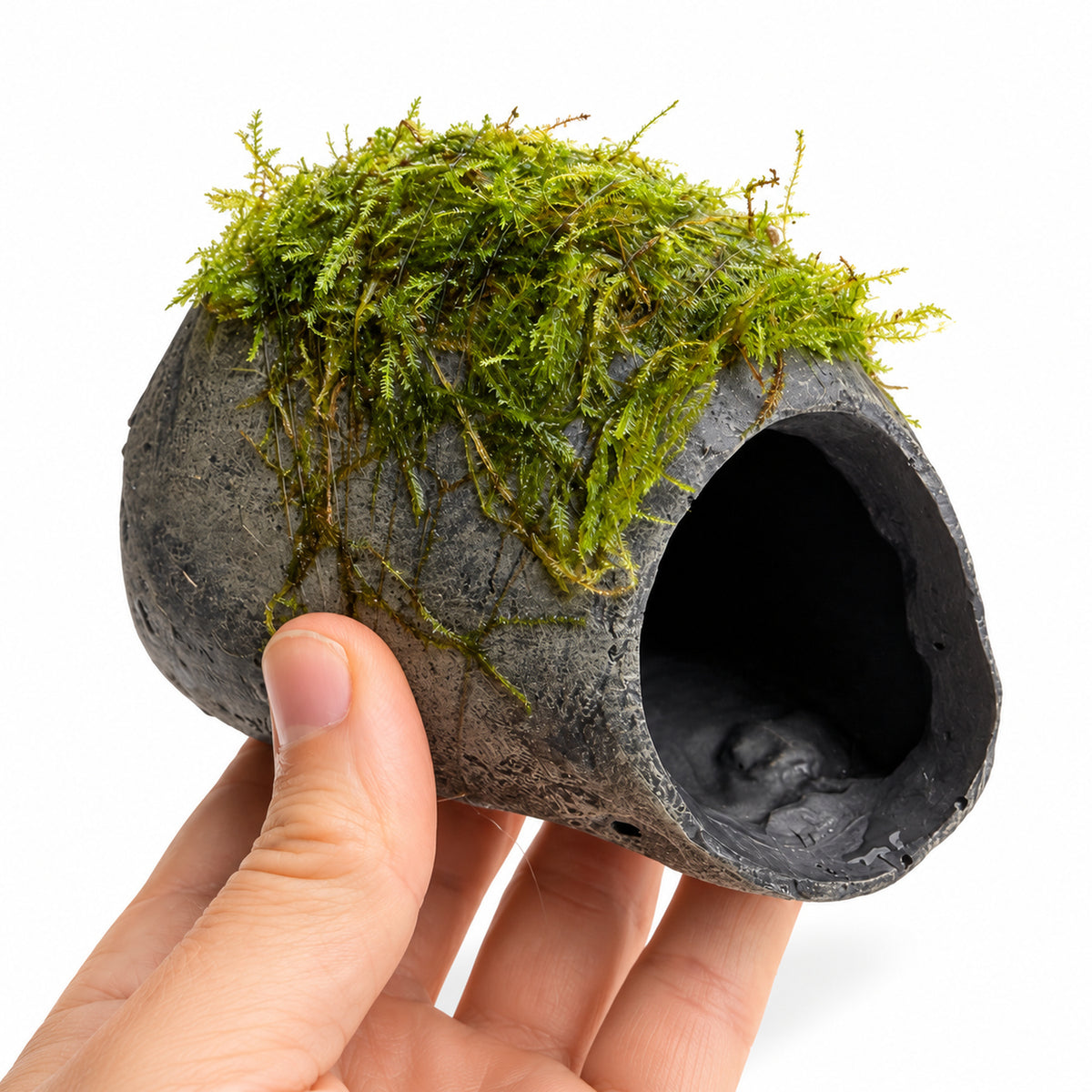 Mossy Fish Cave - Single Hole