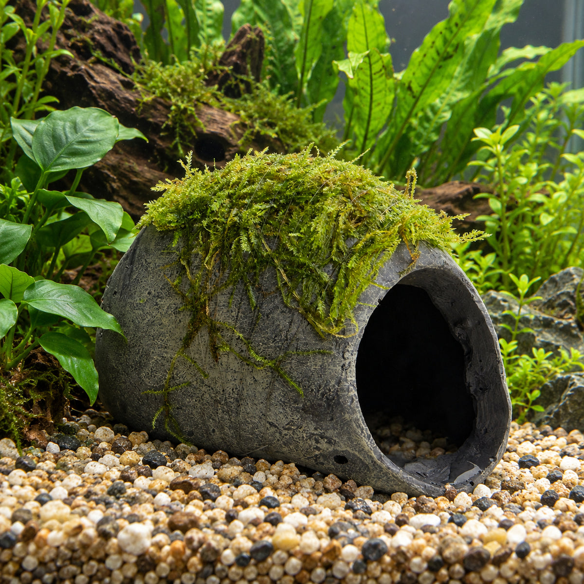 Mossy Fish Cave - Single Hole