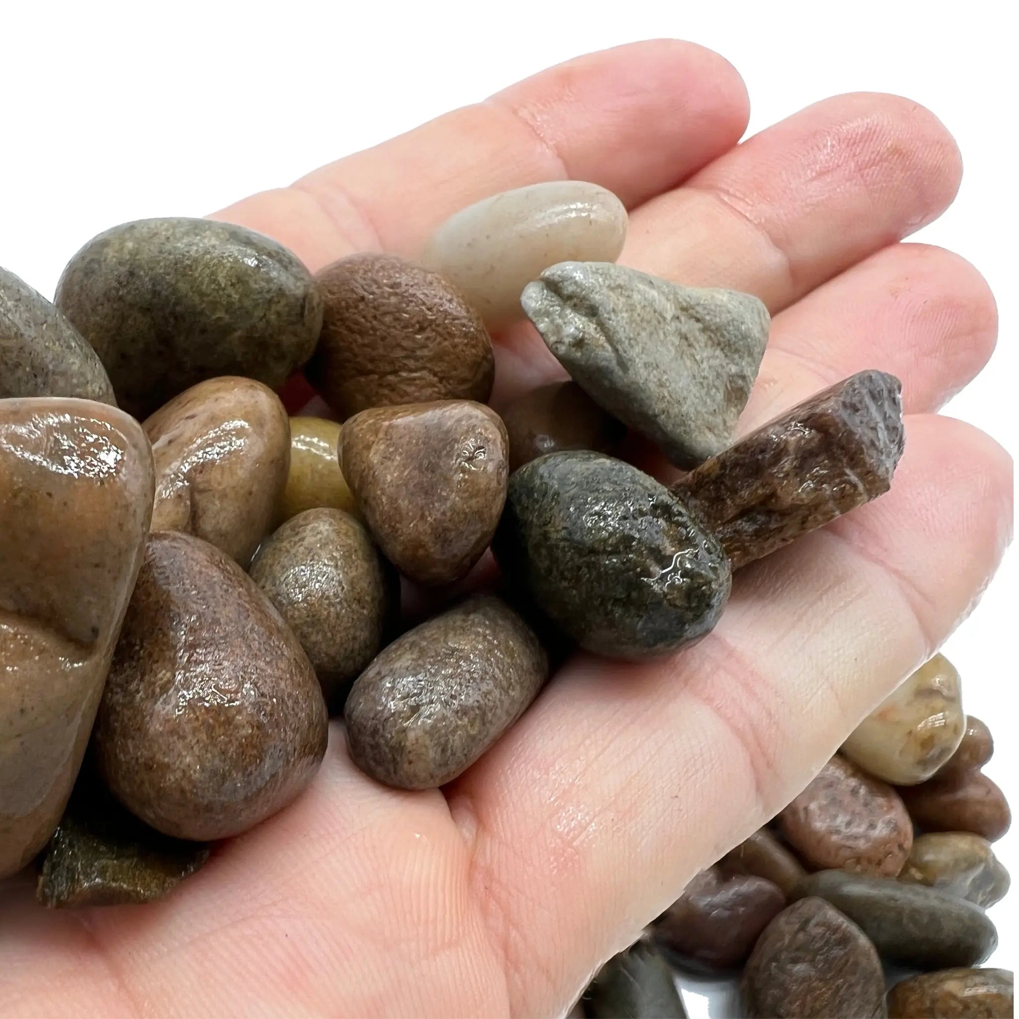 Aquascaping Pebbles - Small - Aqua Essentials