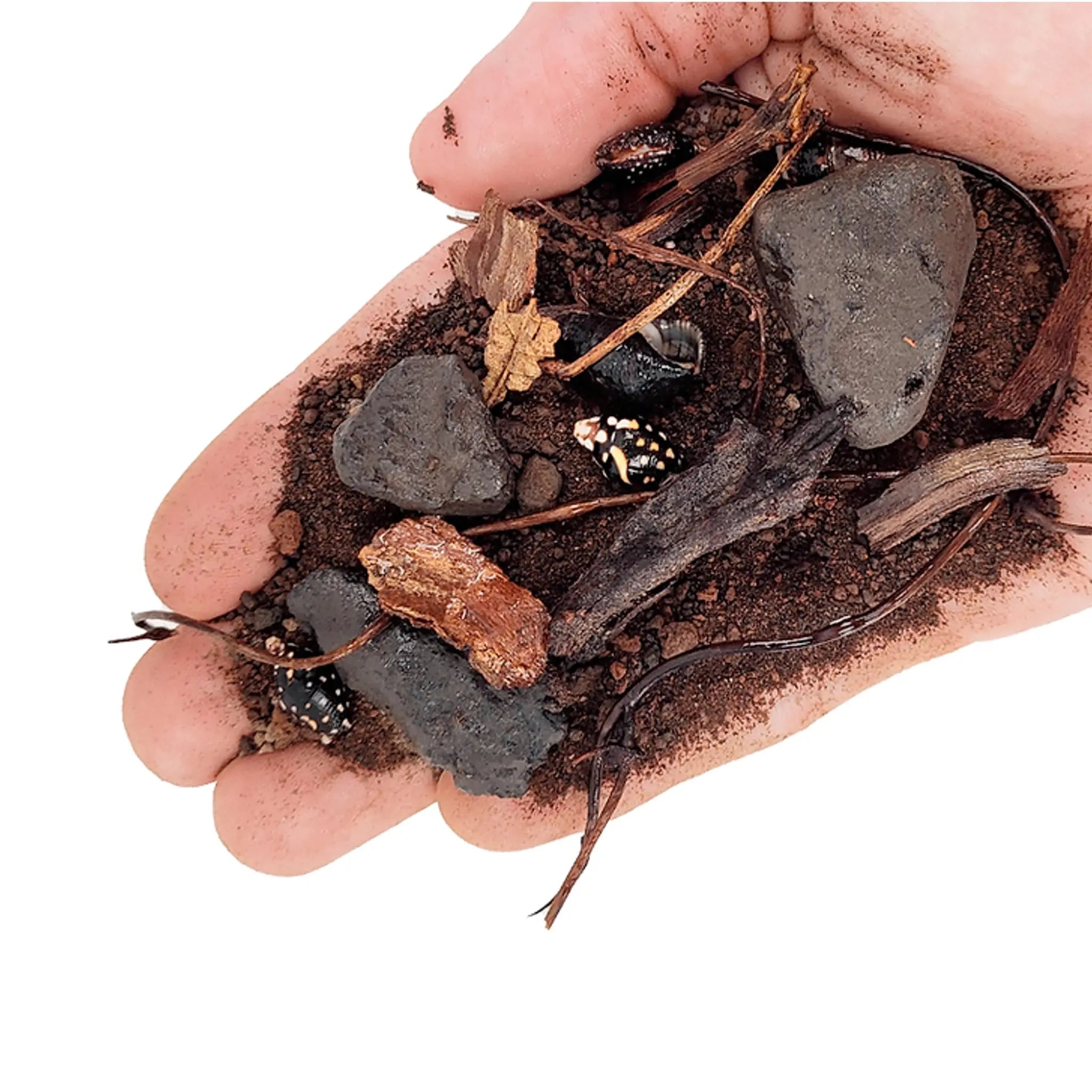 Wio Beck Biotope Bed Mix - 2kg - Aqua Essentials