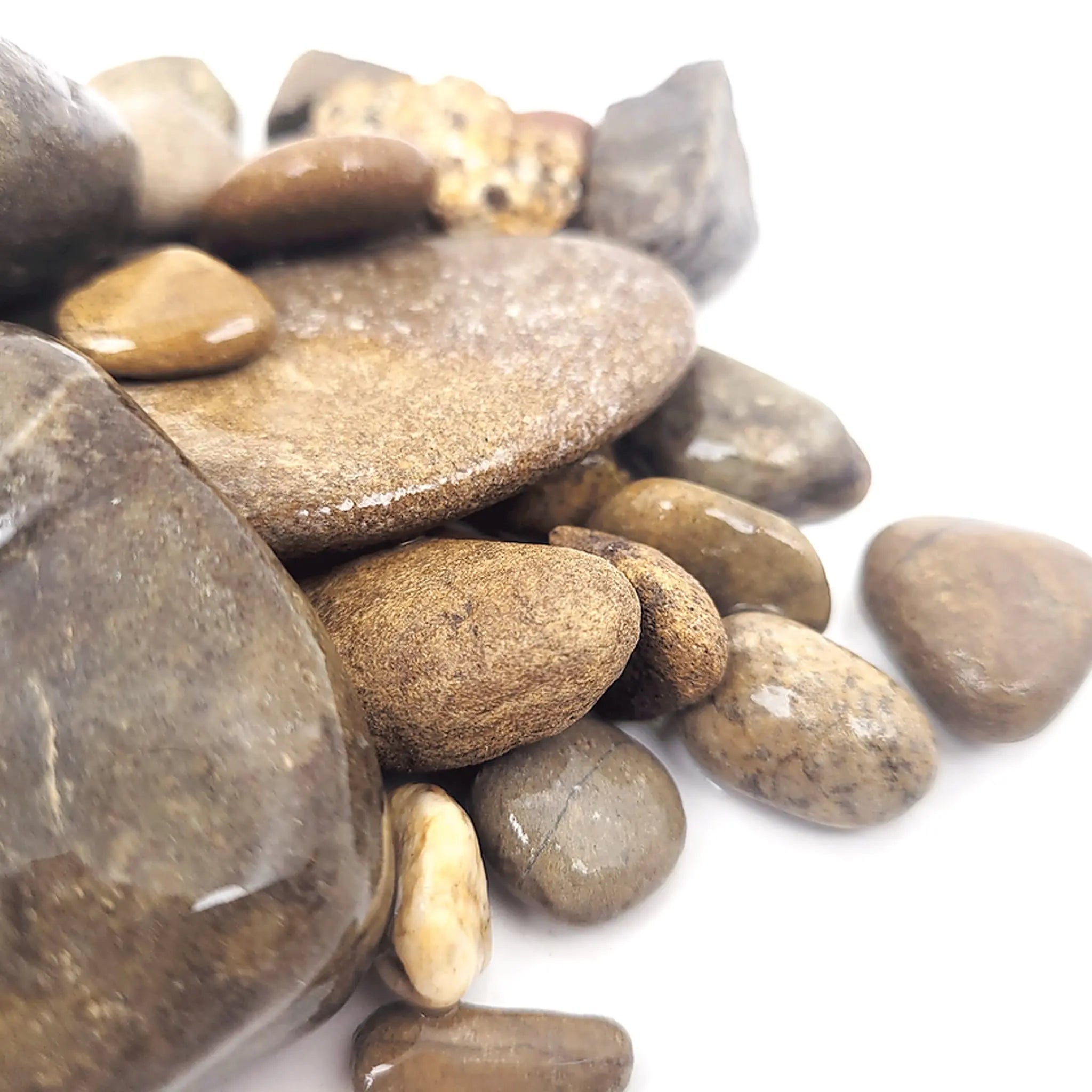 Wio Elderly Gravel Mix - 2kg - Aqua Essentials