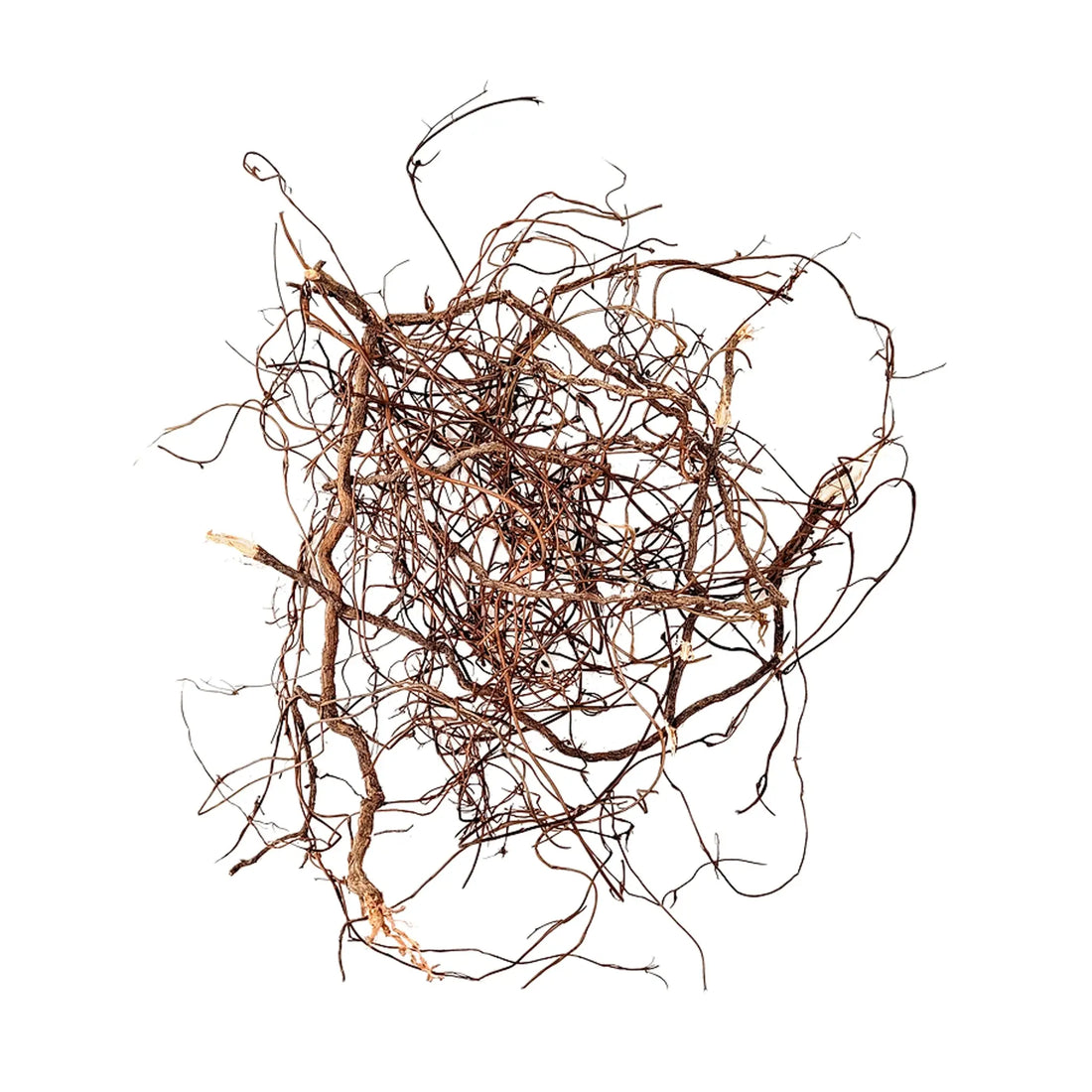 Wio Mini Root Mix - 100g - Aqua Essentials