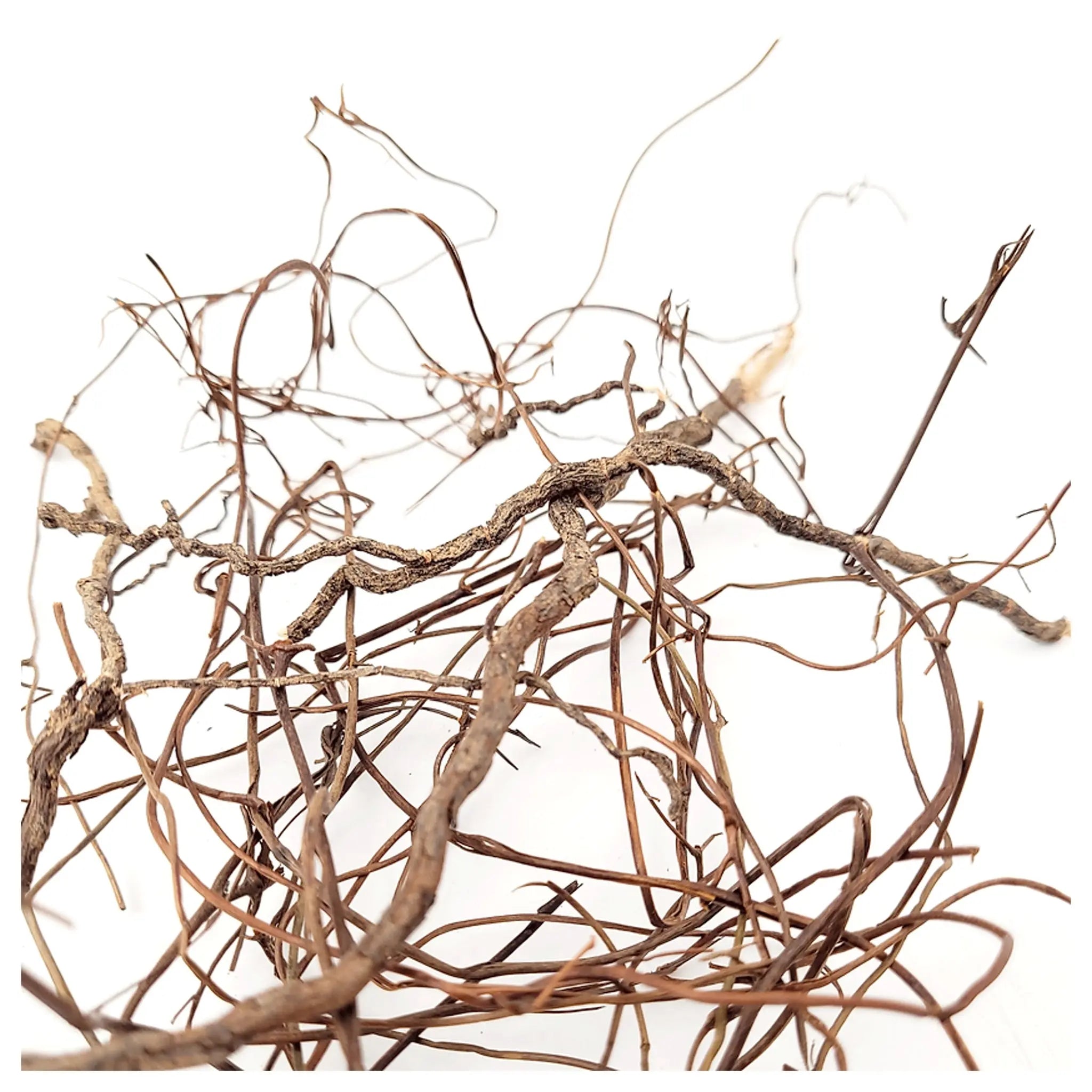 Wio Mini Root Mix - 100g - Aqua Essentials