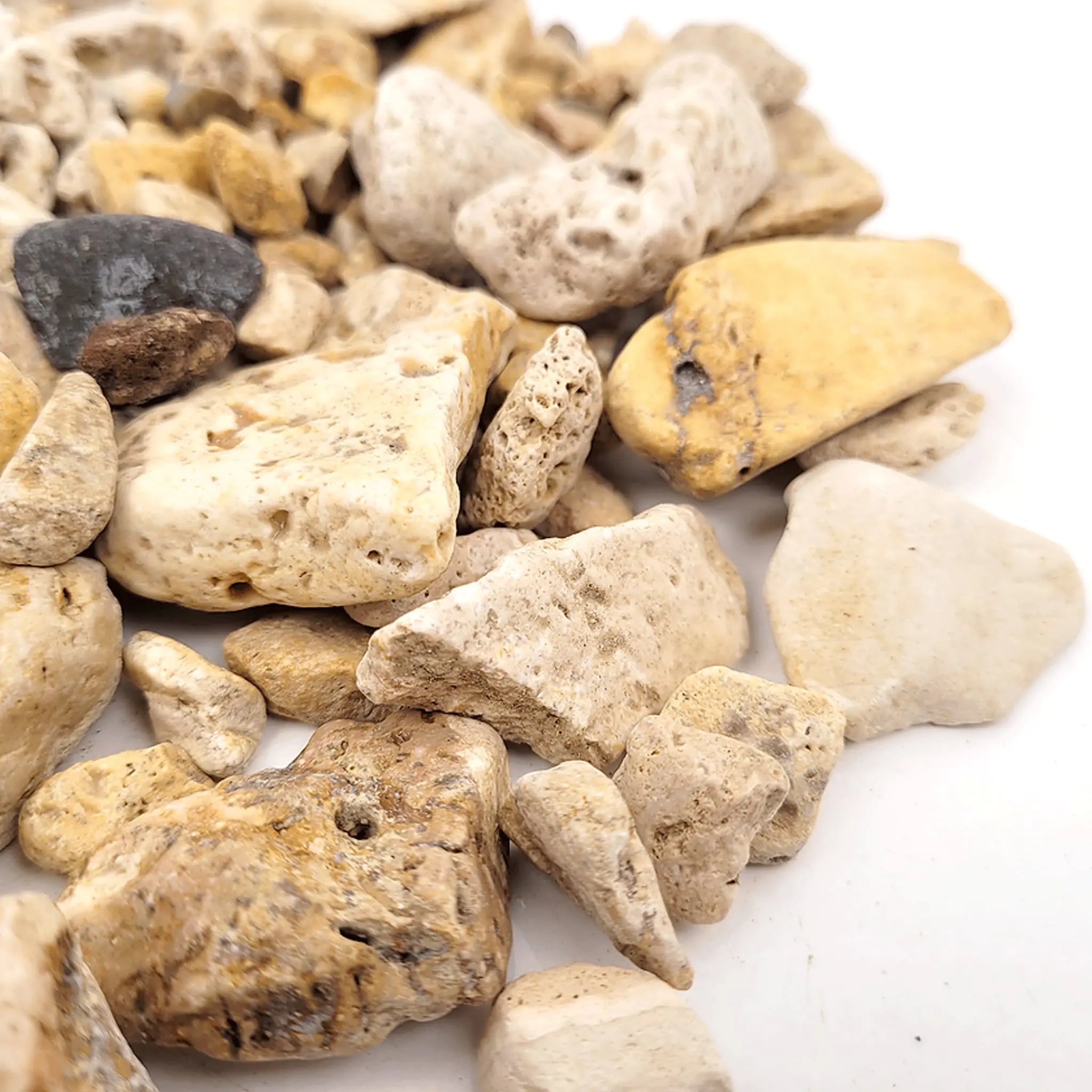 Wio White Adder Gravel Mix - 2kg - Aqua Essentials