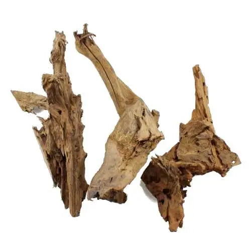 Aquarium Driftwood - XL 40-50cm - Aqua Essentials