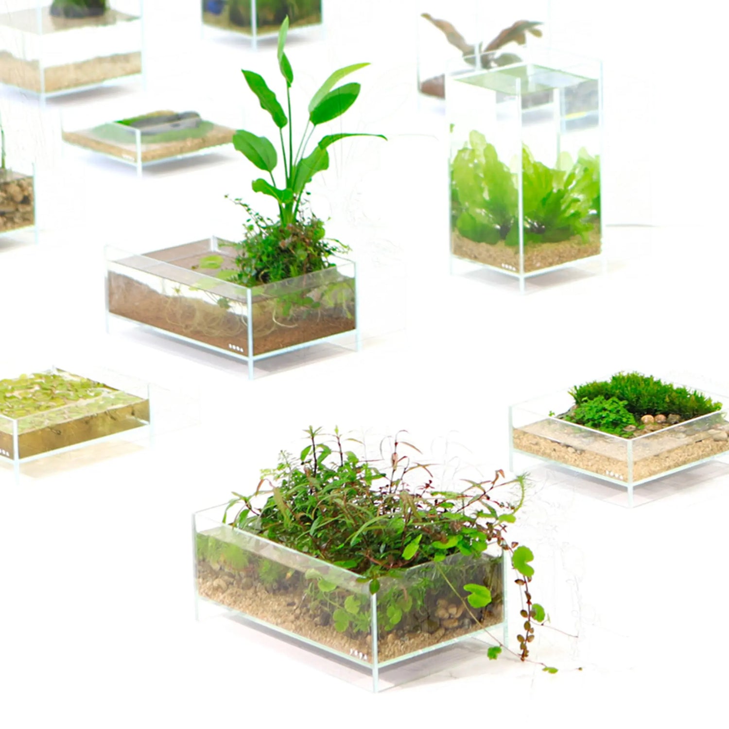 DOOA Neo Glass Air (20x20x8cm) - Aqua Essentials