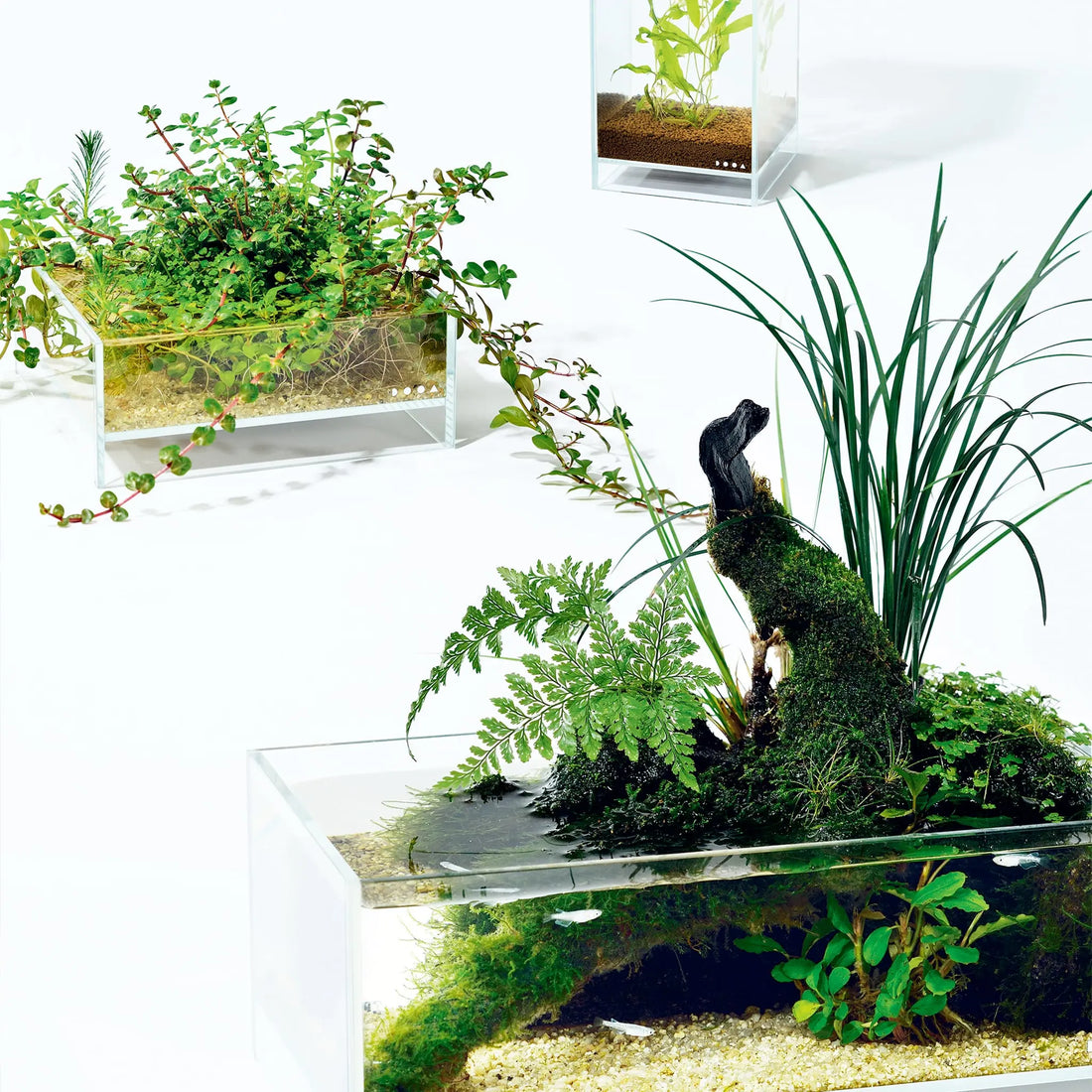 DOOA Neo Glass Air (15x15x25cm) - Aqua Essentials