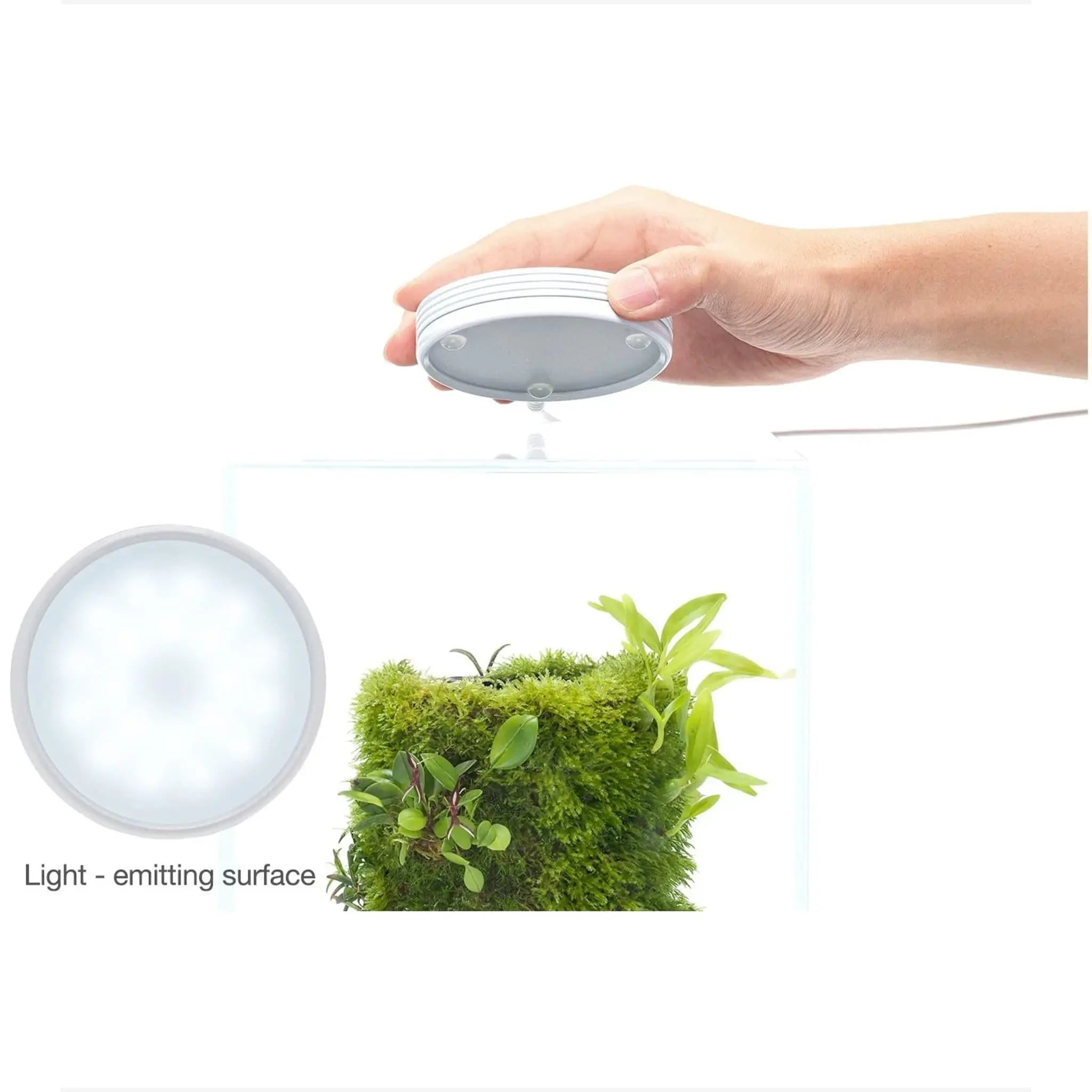 DOOA Magnet Light G (without PSU adaptor) - Aqua Essentials