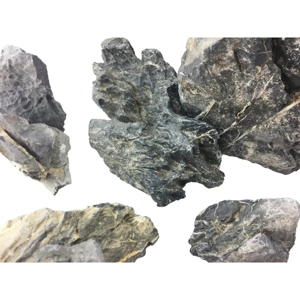 Mini Landscape Rock (Seiryu Stone) - per kg - Aqua Essentials