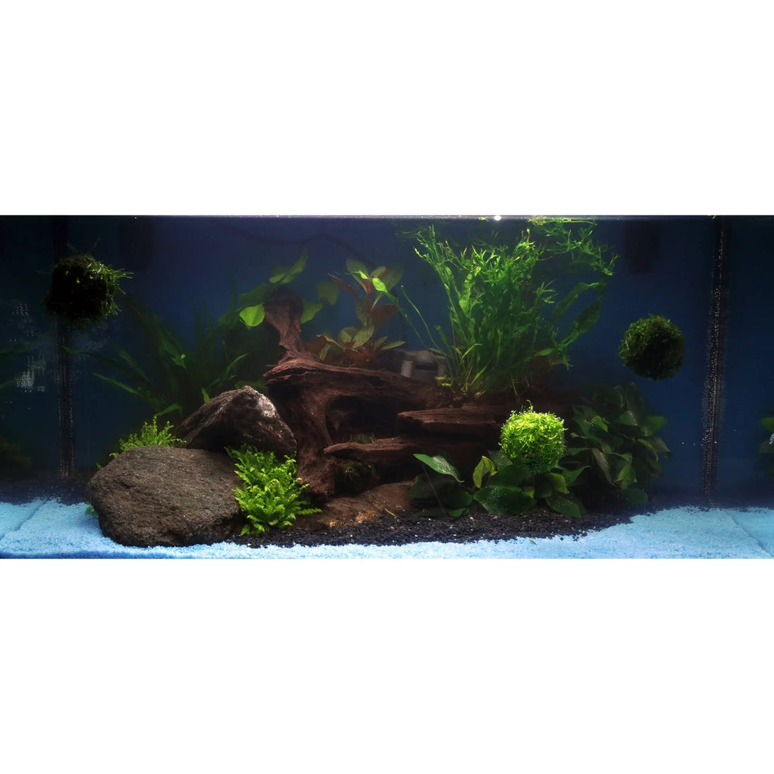 Scaped For You Collection - Layout 33 (54L) Easy - Aqua Essentials