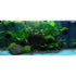 Scaped For You Collection - Layout 33 (54L) Easy - Aqua Essentials