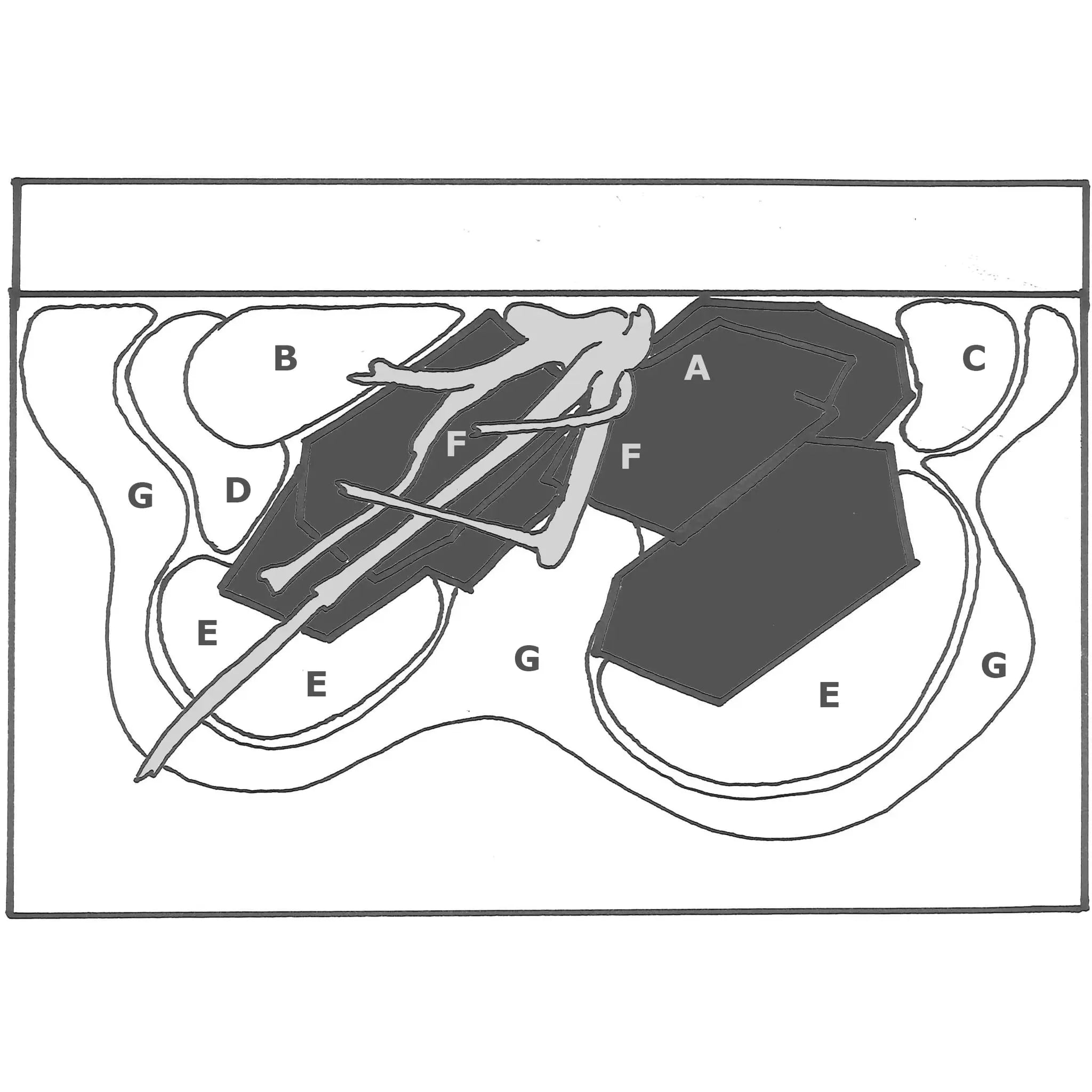 Scaped For You Collection - Layout 63 (100L) Easy - Aqua Essentials